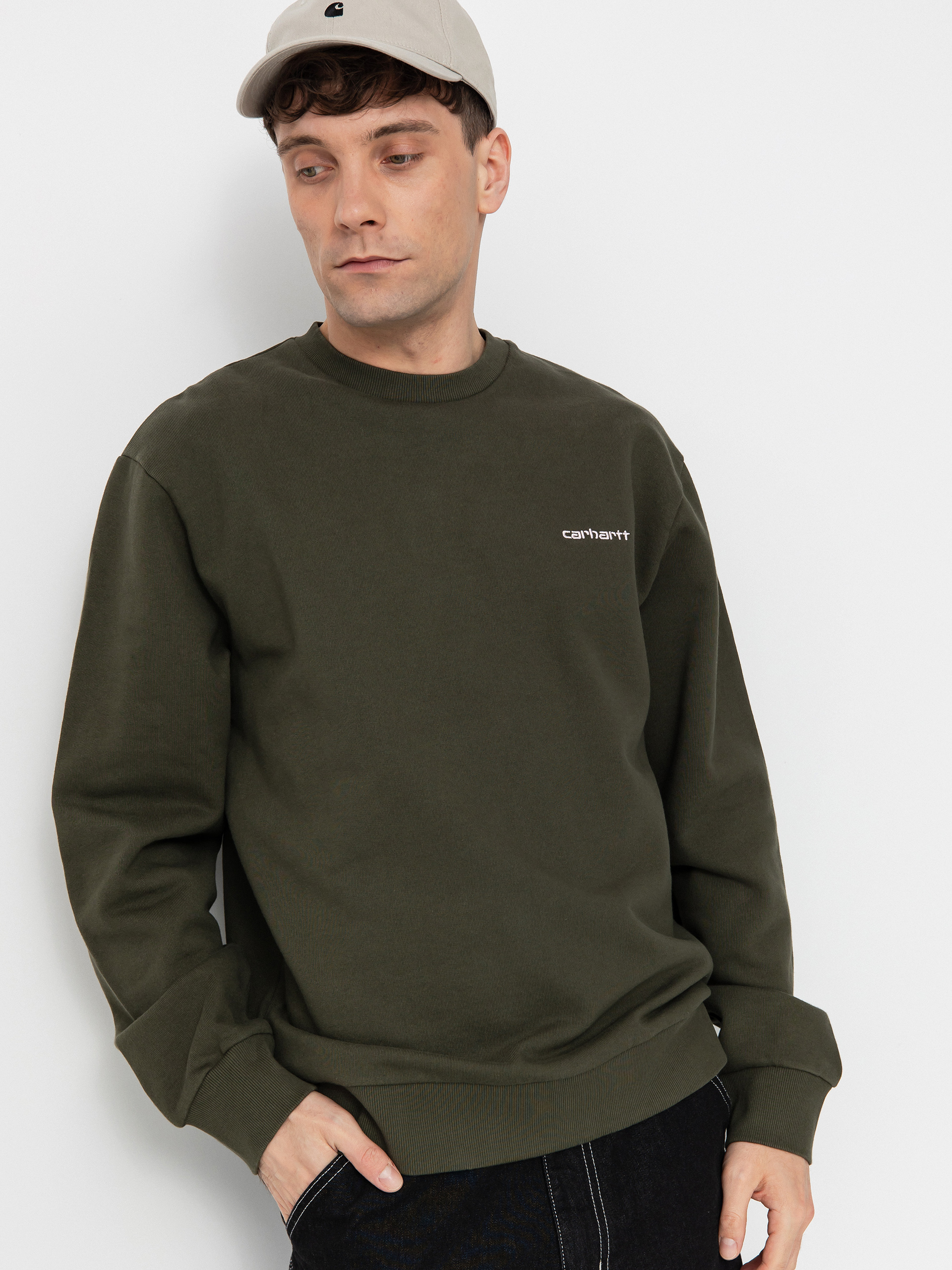 Carhartt WIP Script Embroidery Sweatshirt (turtle/air pink)