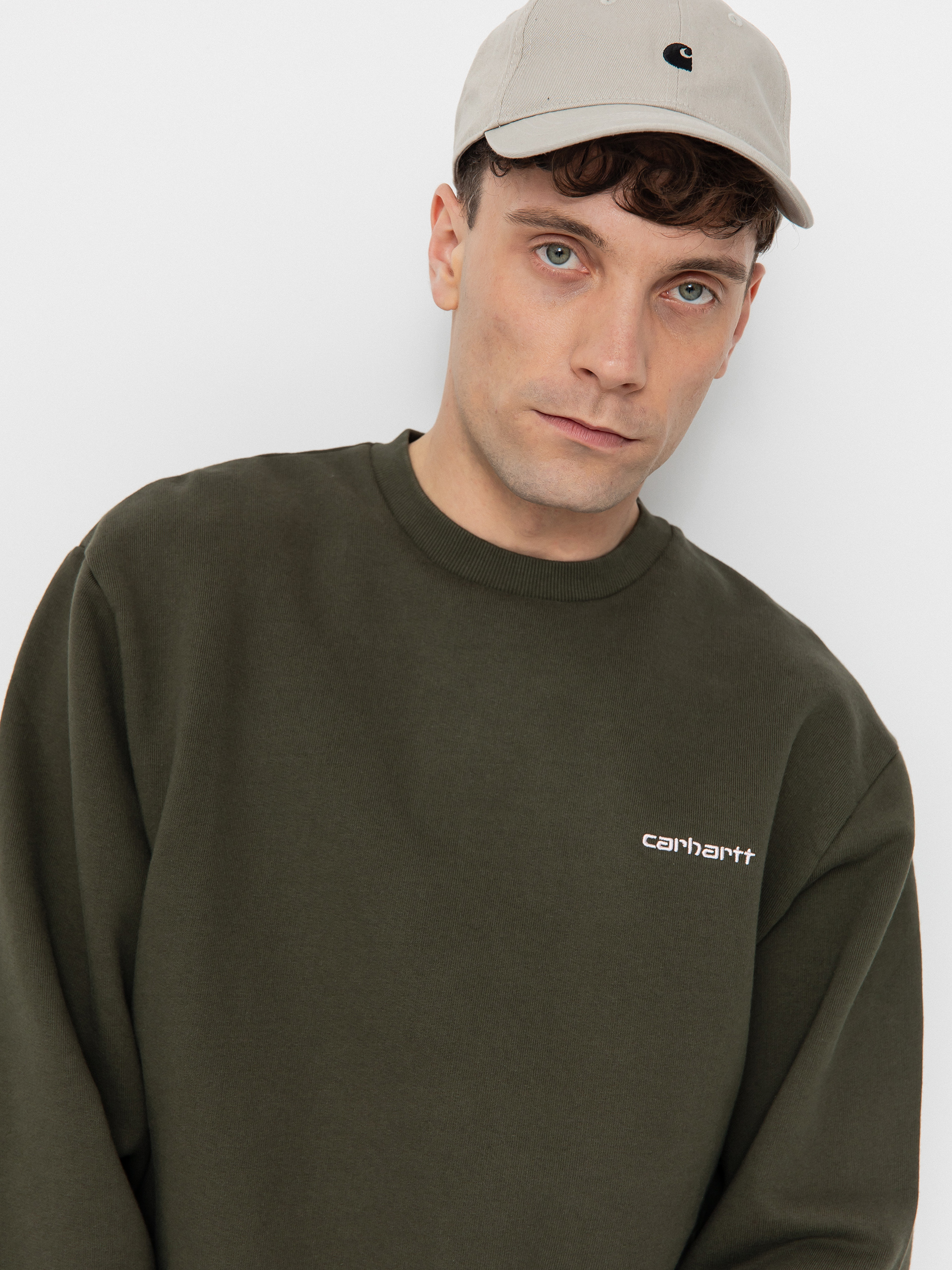 Carhartt WIP Script Embroidery Sweatshirt (turtle/air pink)
