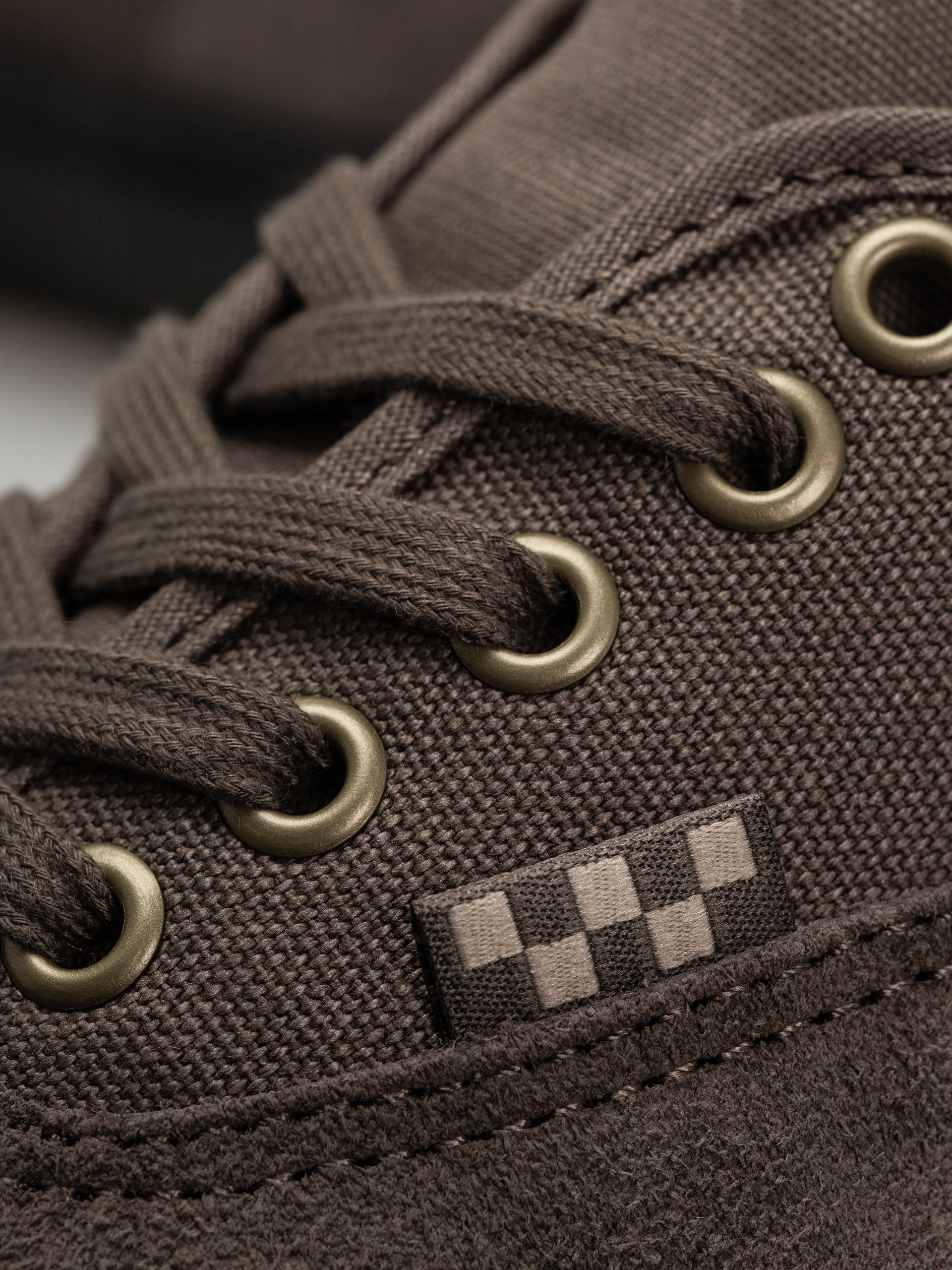 Vans Skate Authentic Shoes (bungee cord)