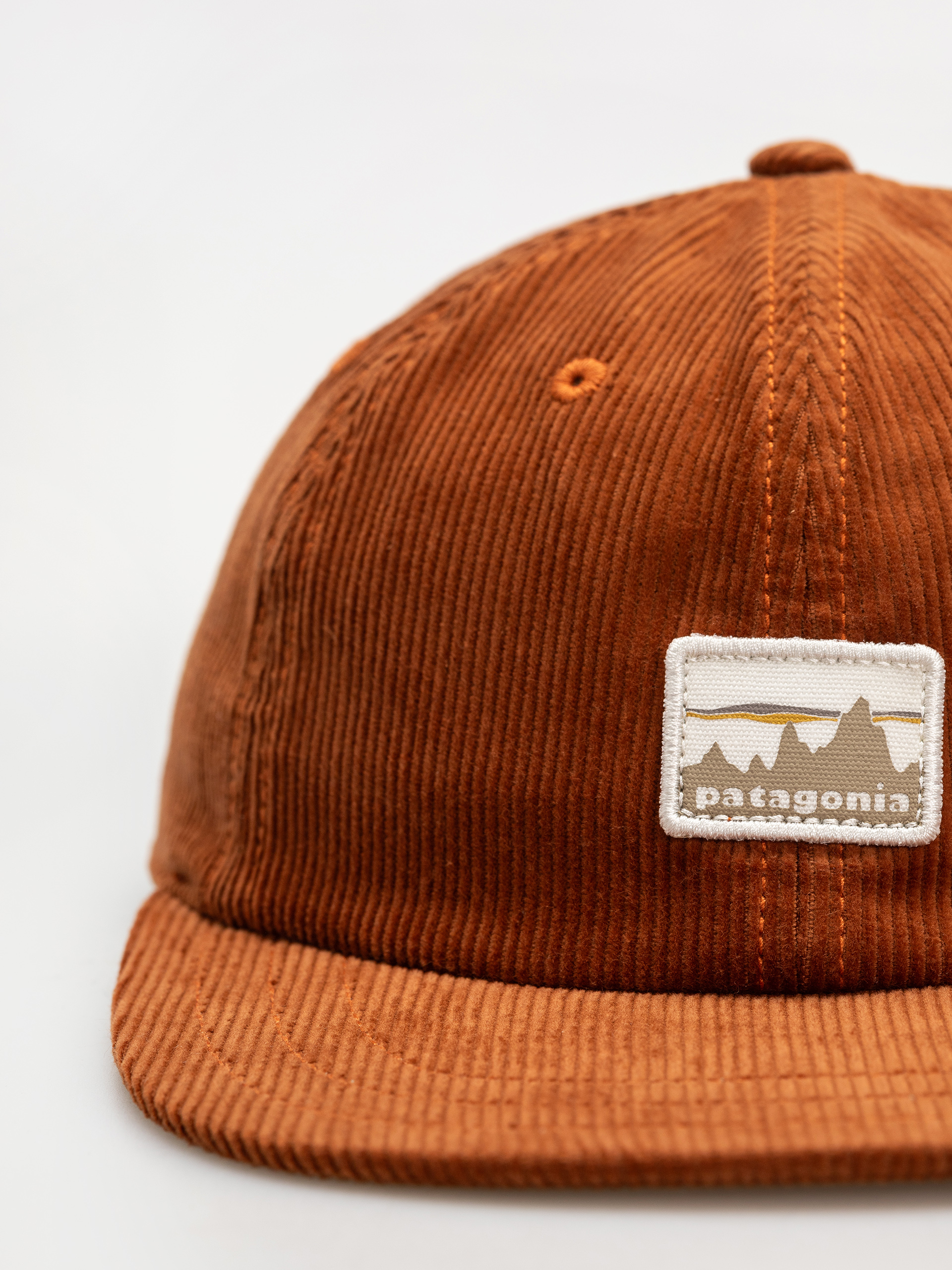 Patagonia Corduroy Cap (73 skyline/robin brown)