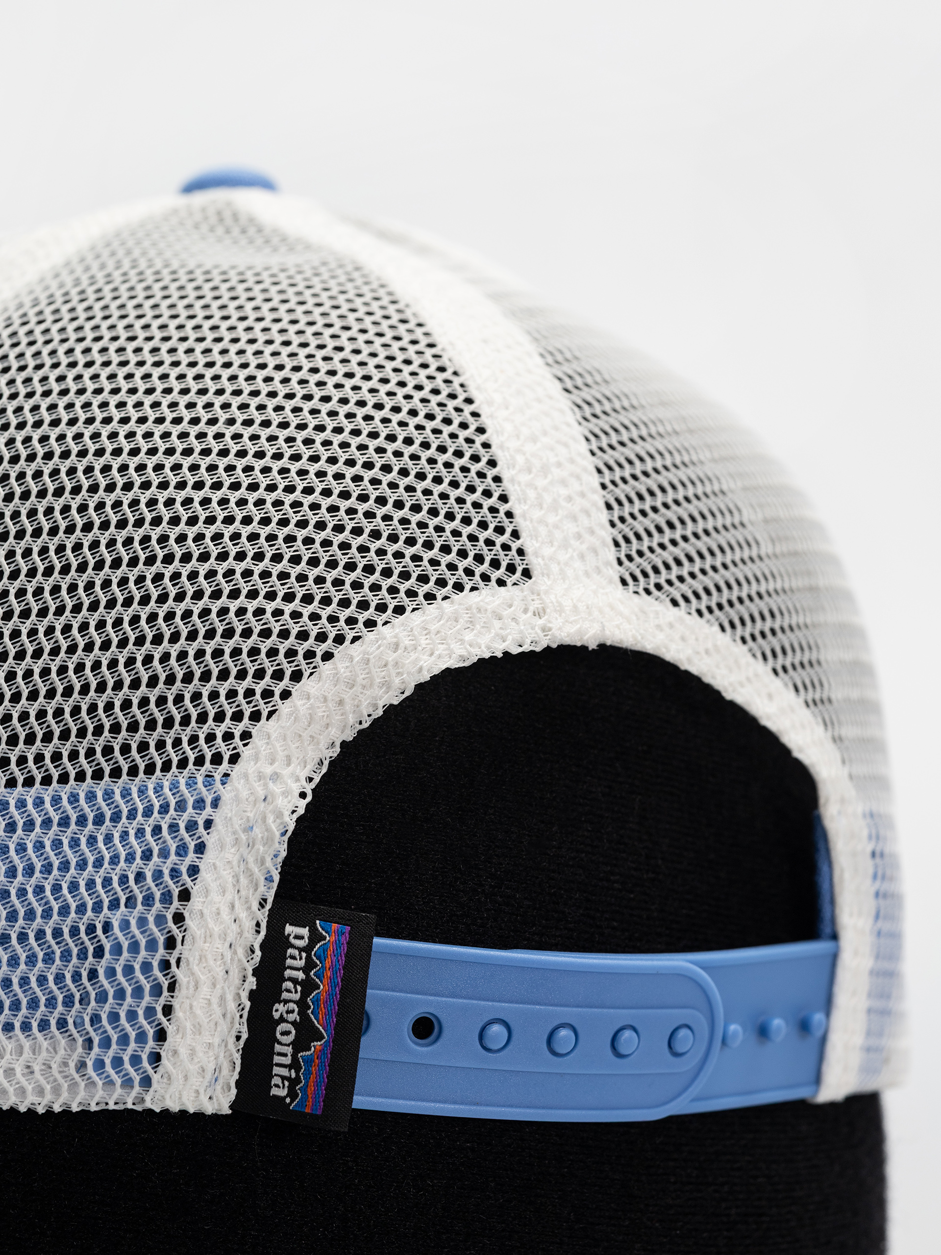 Patagonia P 6 Logo LoPro Trucker Cap (abundant blue)