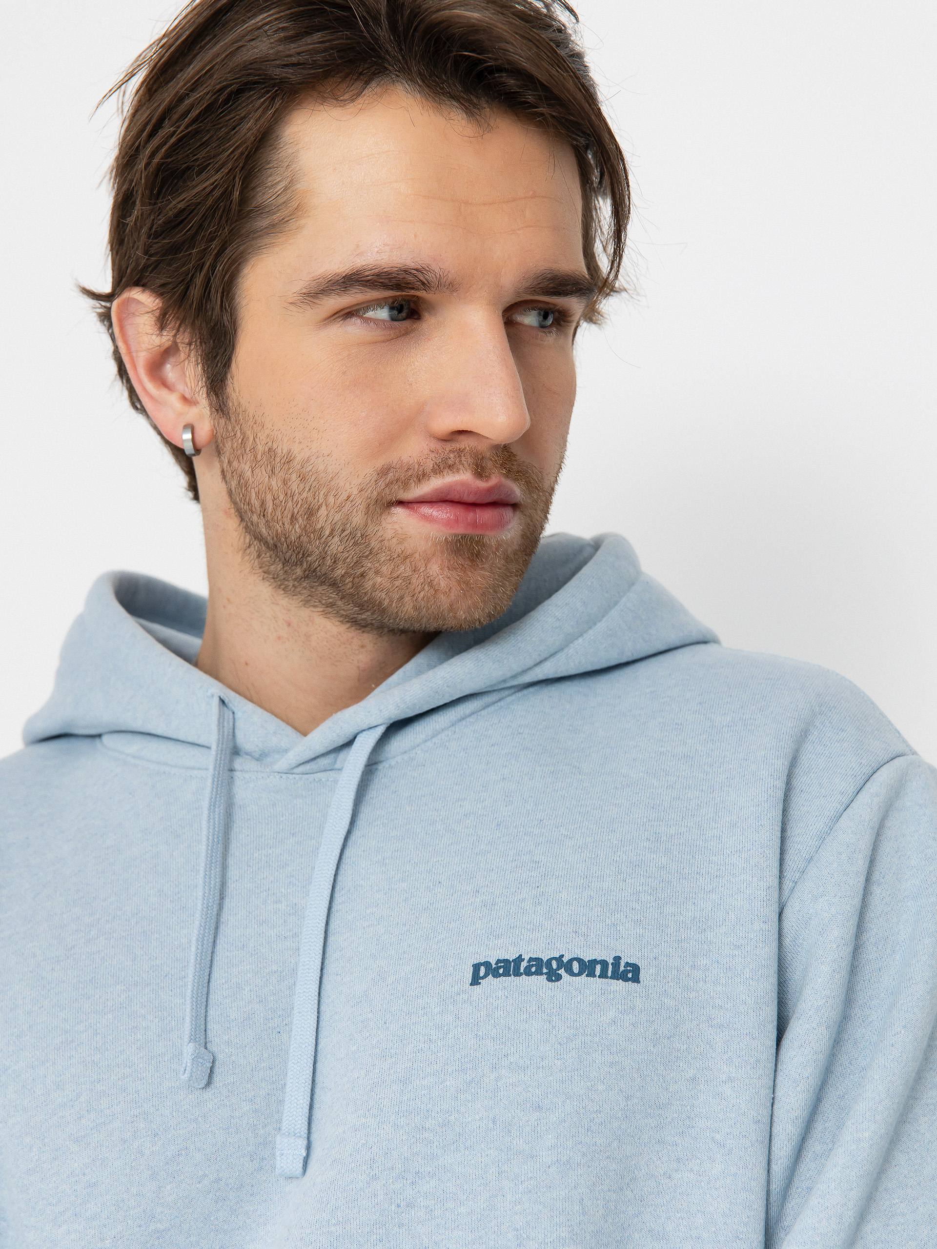 Patagonia Fitz Roy Icon Uprisal HD Hoodie (fleck blue)
