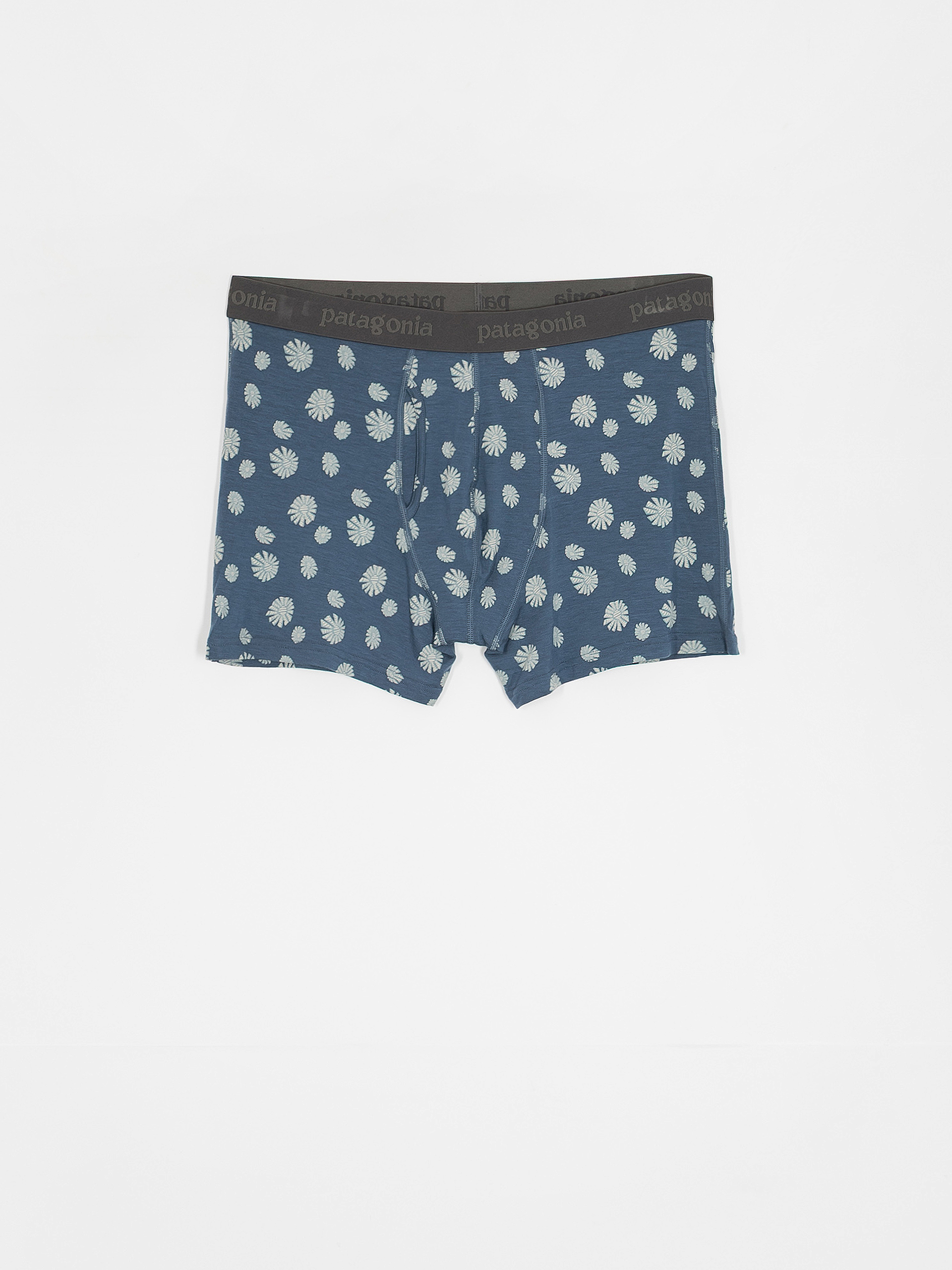 Patagonia Underwear Essential Boxer Briefs 3in (sunny/utility blue)
