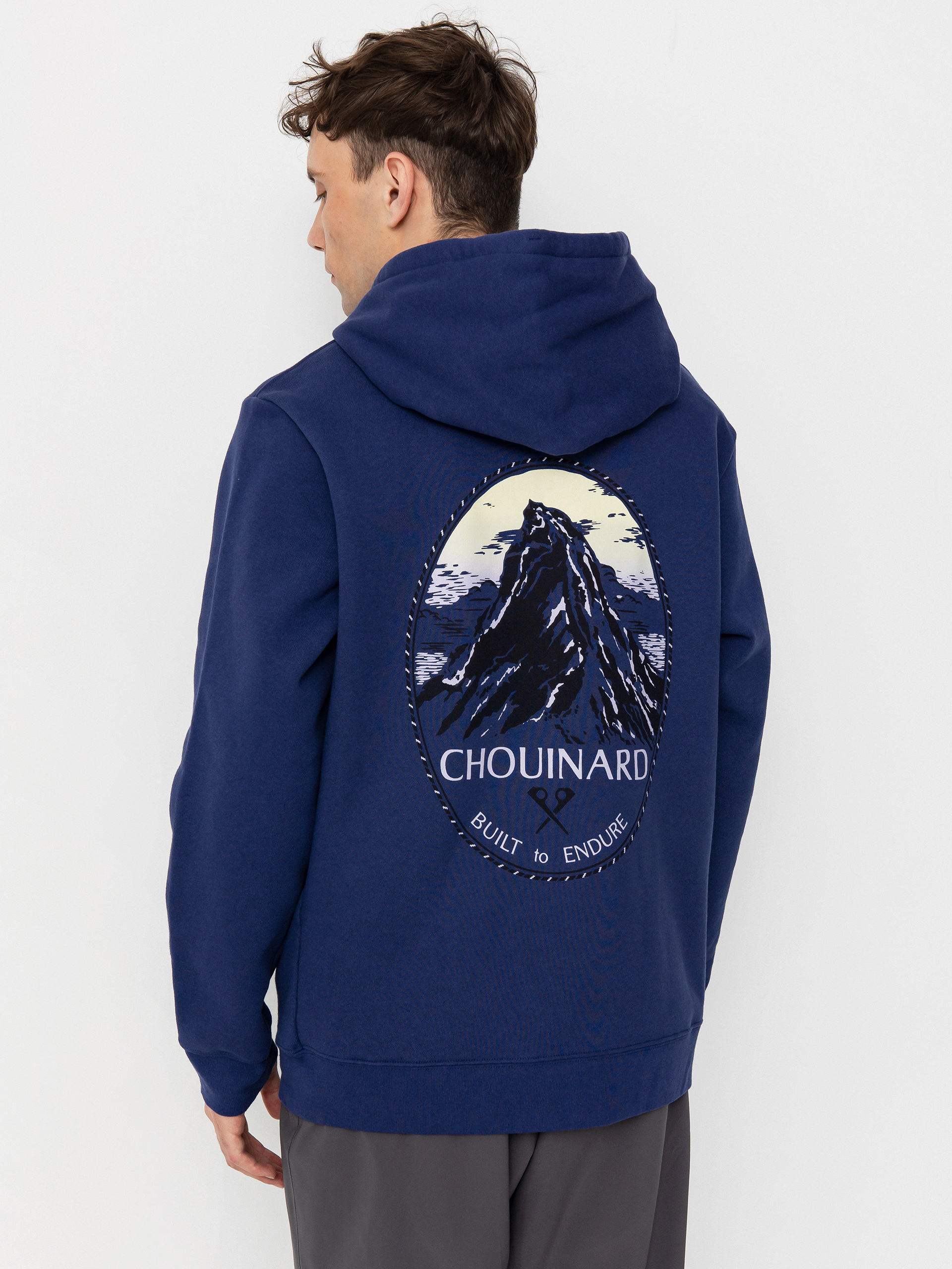 Patagonia Chouinard Crest Uprisal HD Hoodie - white (birch