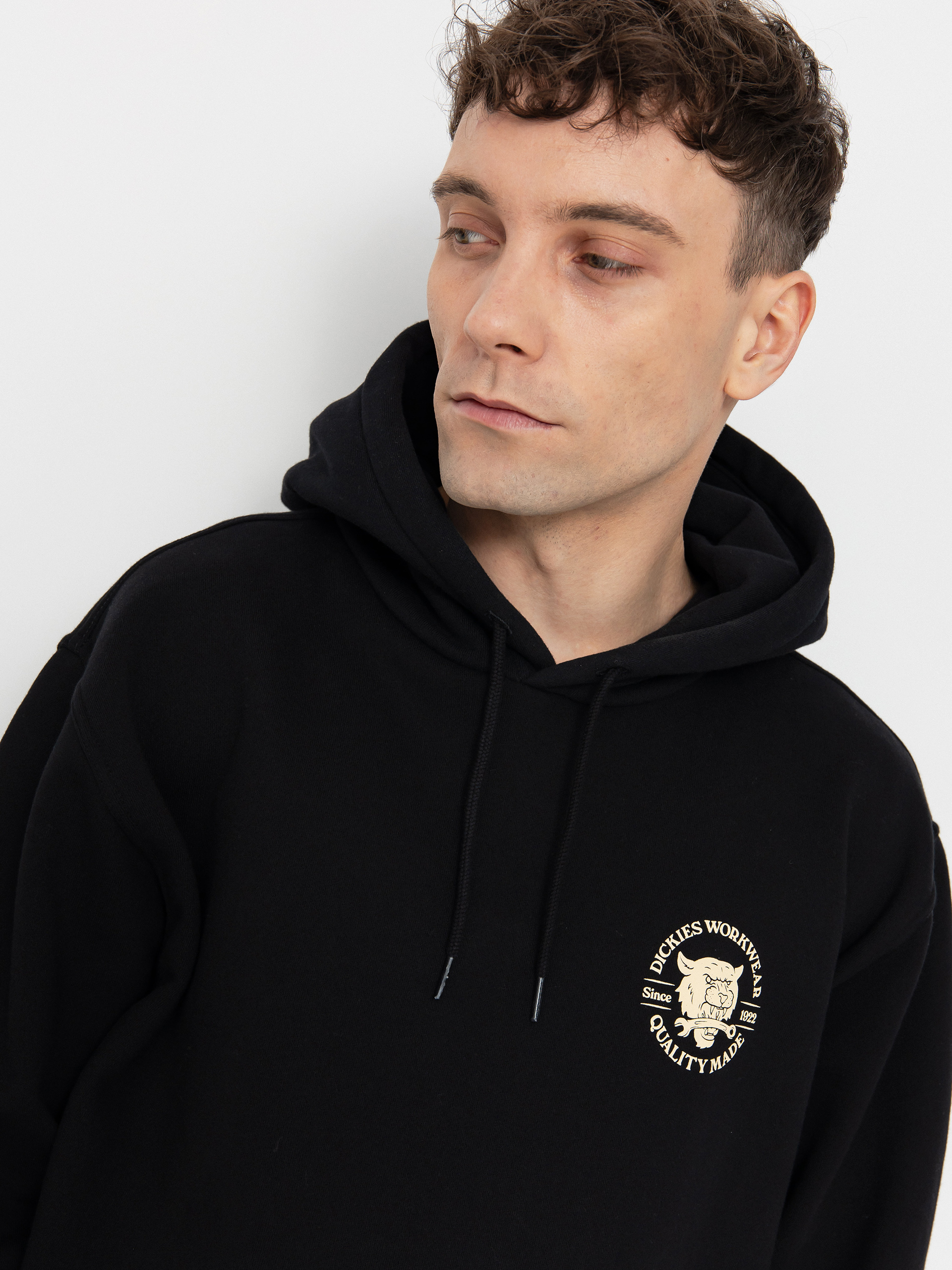 Dickies Wrench HD Hoodie (black)