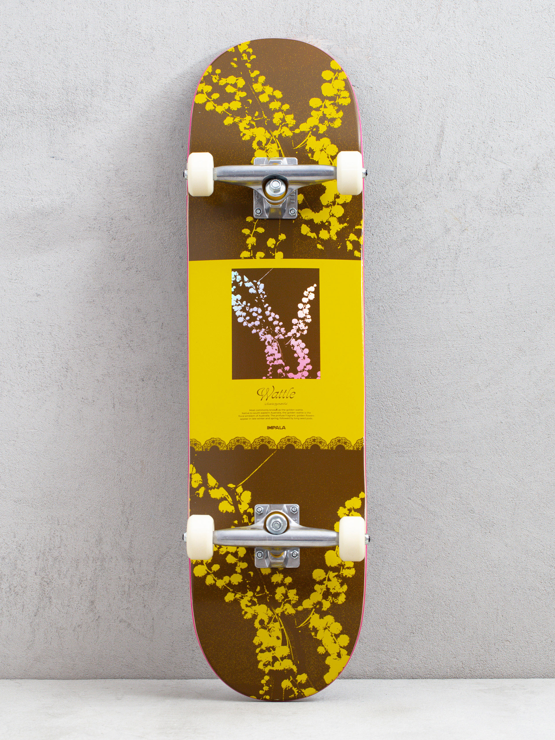 Skateboard complet pour commencer Barded Wire Red 8.0 GHETTOBLASTER