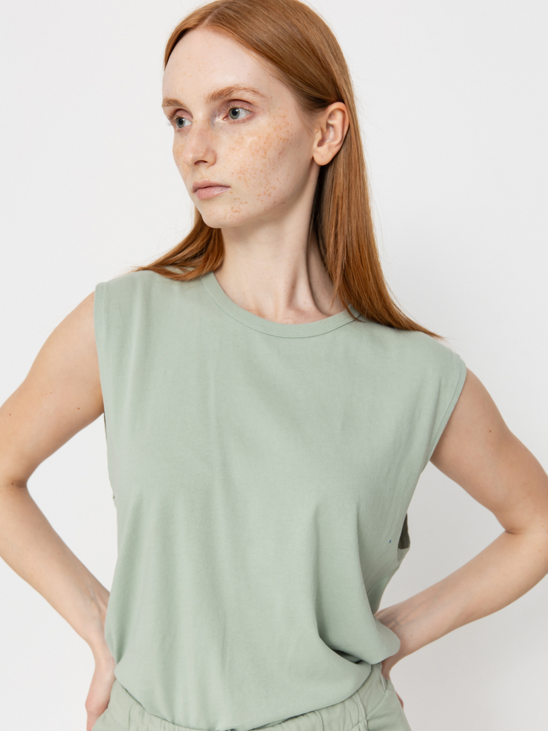 Brixton Carefree Organic Gd Muscle Tan Wmn T-Shirt (sage green)