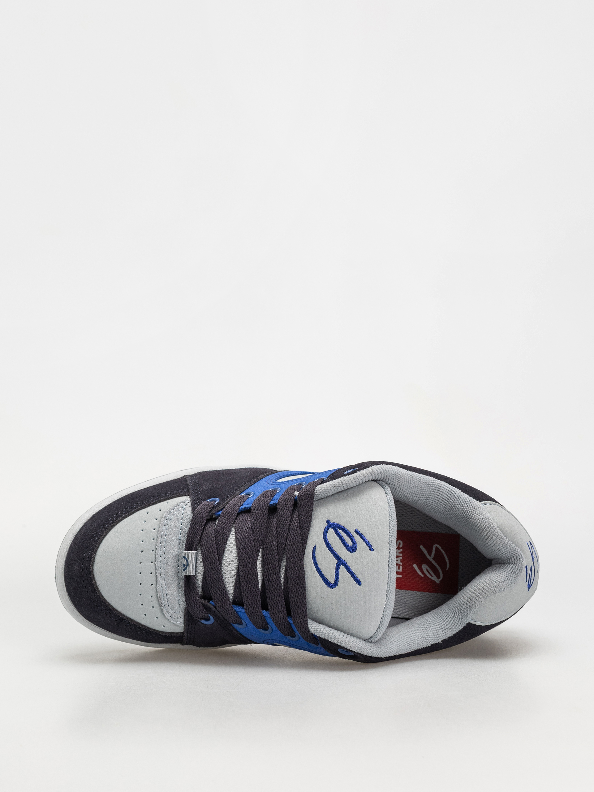 eS Accel Og Shoes (navy/royal)