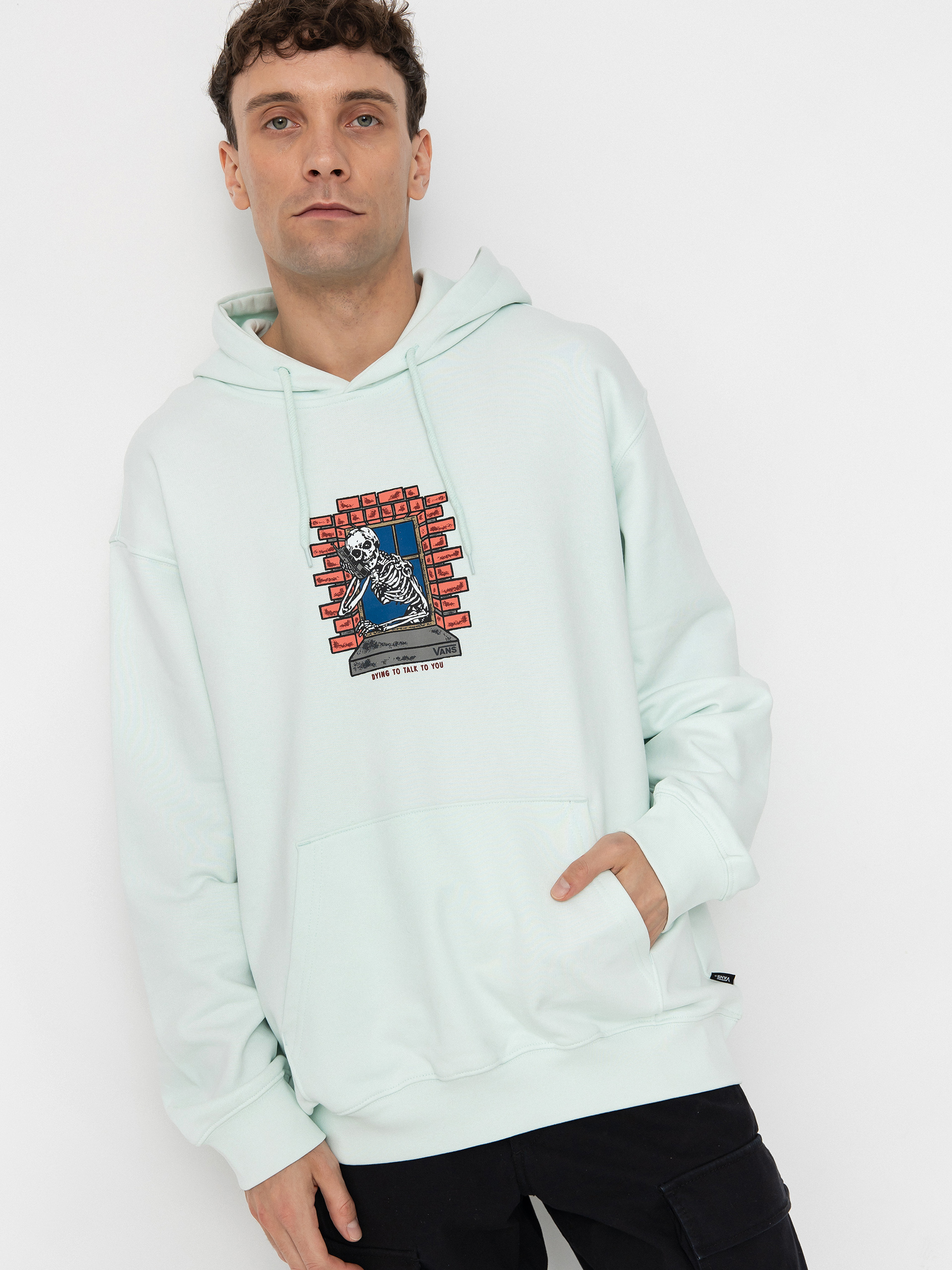 Vans Skull Window HD Hoodie (hint of mint)
