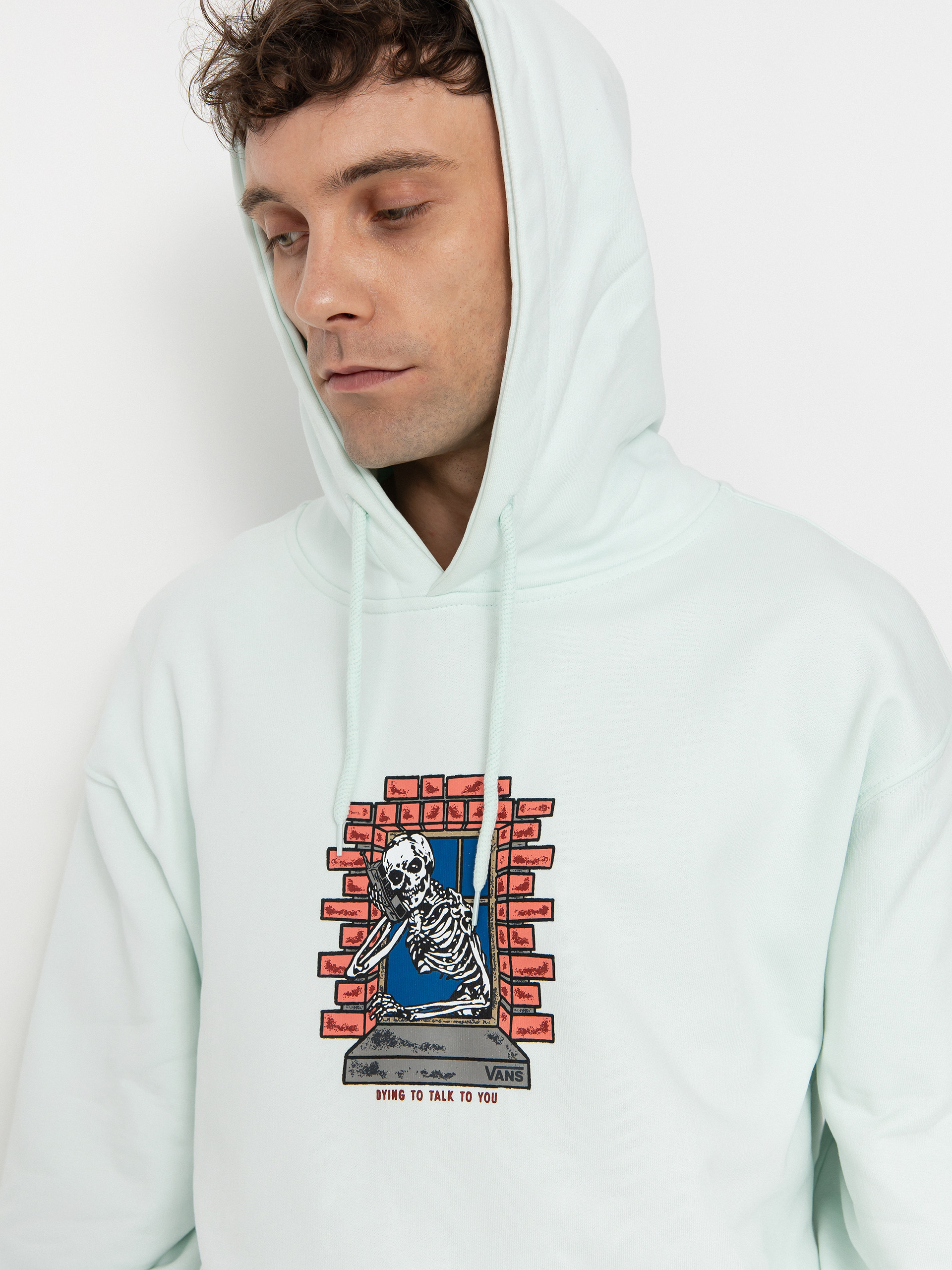 Vans Skull Window HD Hoodie (hint of mint)