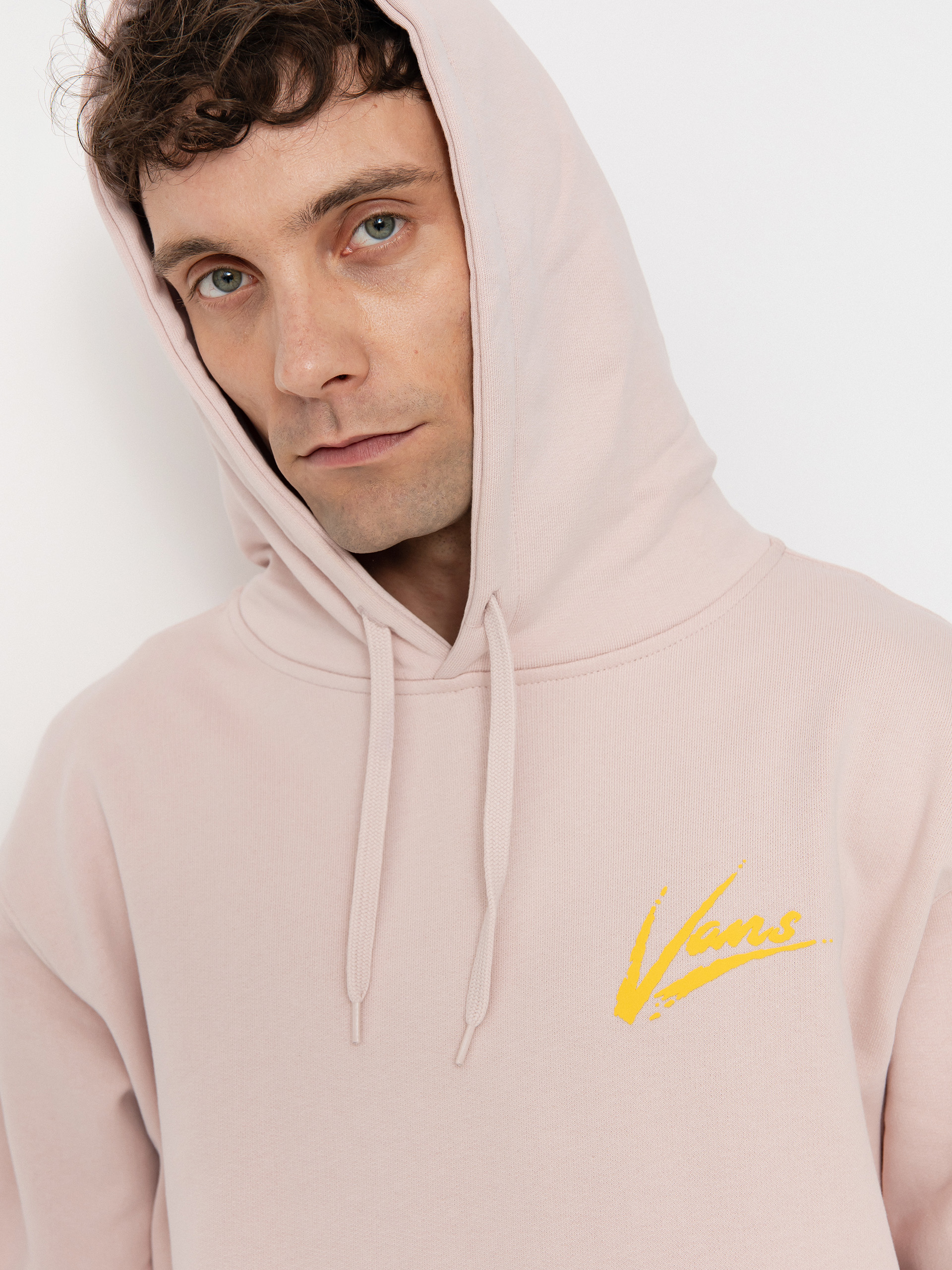 Vans Brush Script II Loose HD Hoodie (sepia rose)
