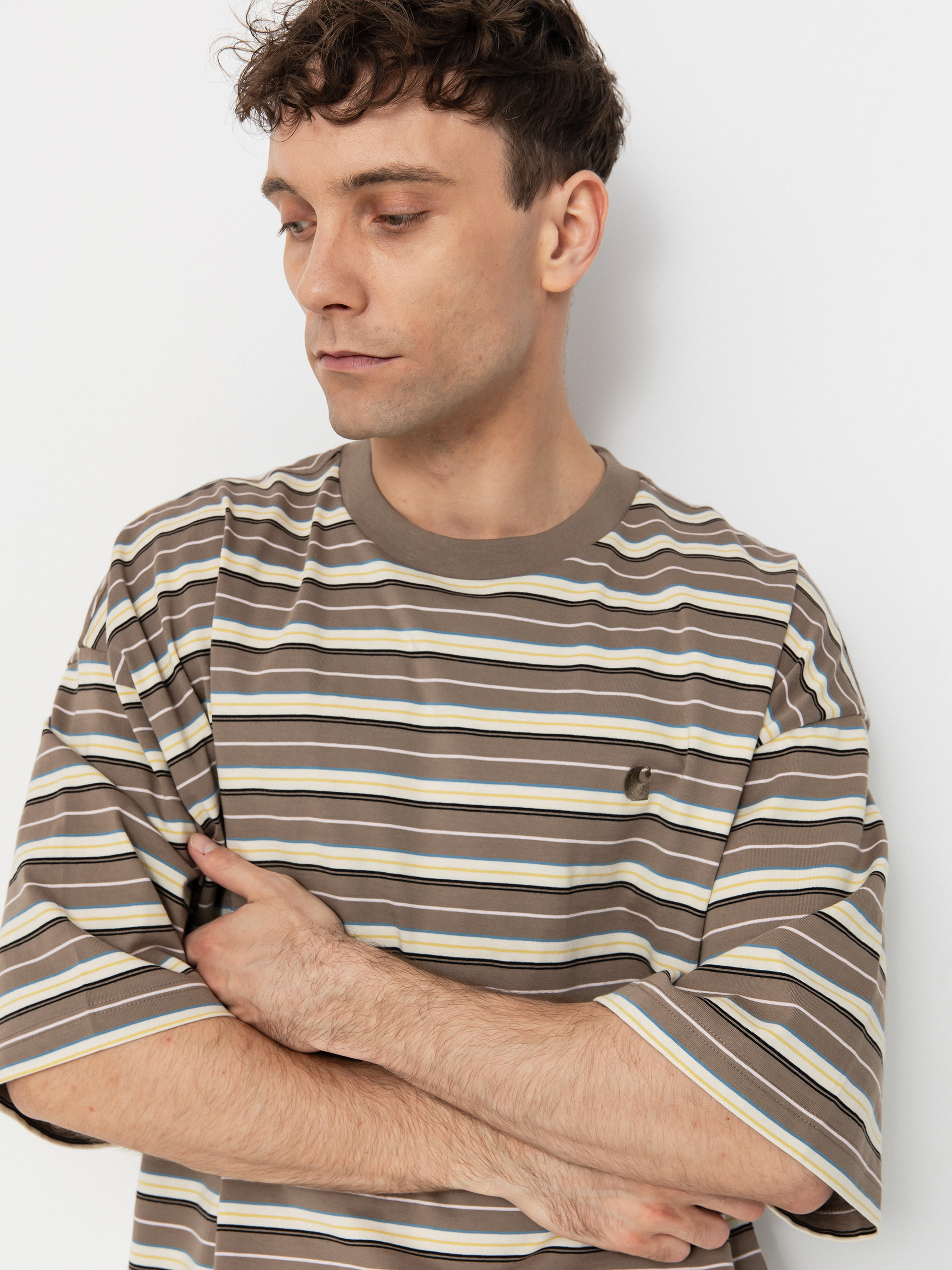 ★ドイツ発*carhartt WIP*新作*Nathan Stripe Tシャツ/AS★ Carhartt WIP S/S Nathan T-Shirt Nathan Stripe/Branch