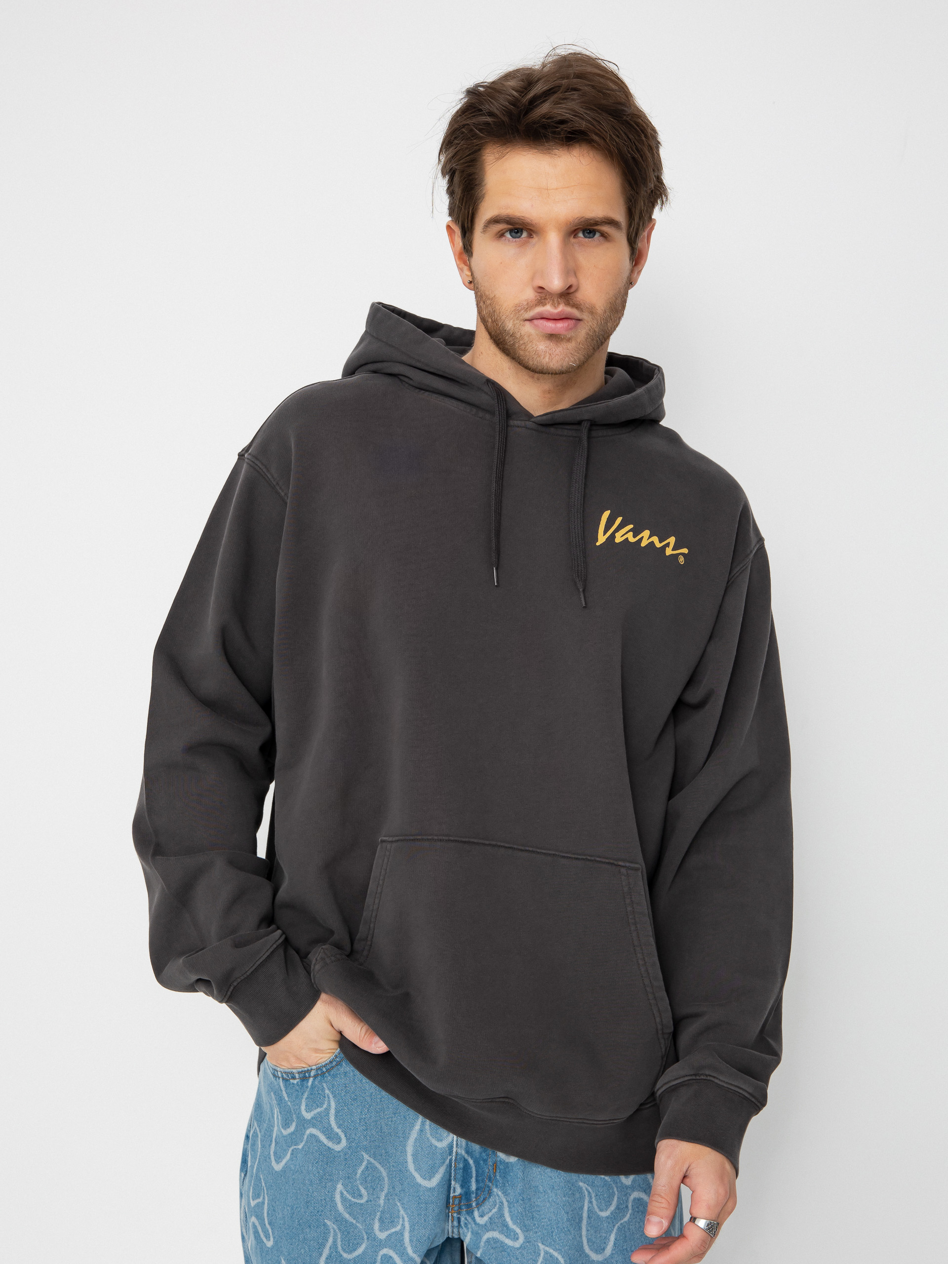 Vans 66 Baked In Loose Ft HD Hoodie (black)
