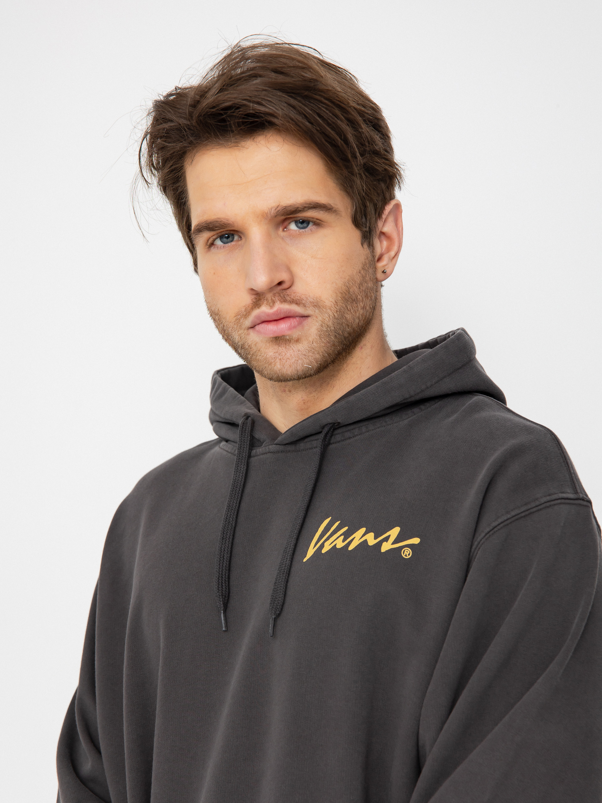 Vans 66 Baked In Loose Ft HD Hoodie (black)