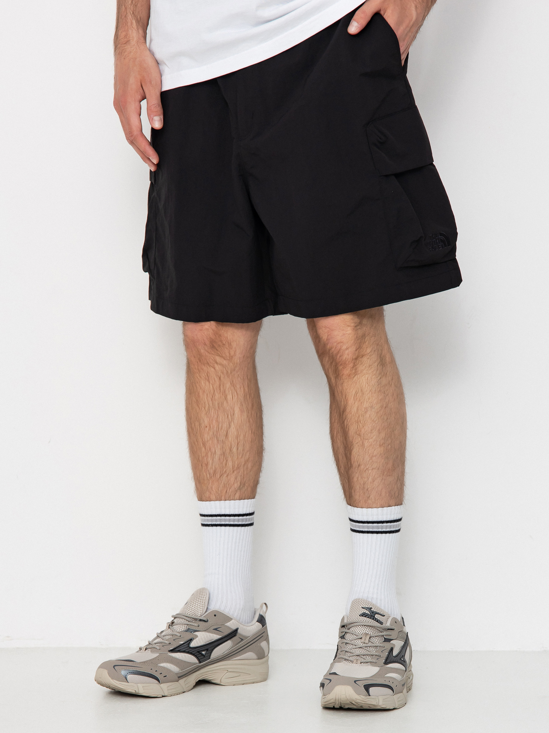 The North Face Shorts Cargo Pocket (tnf black)