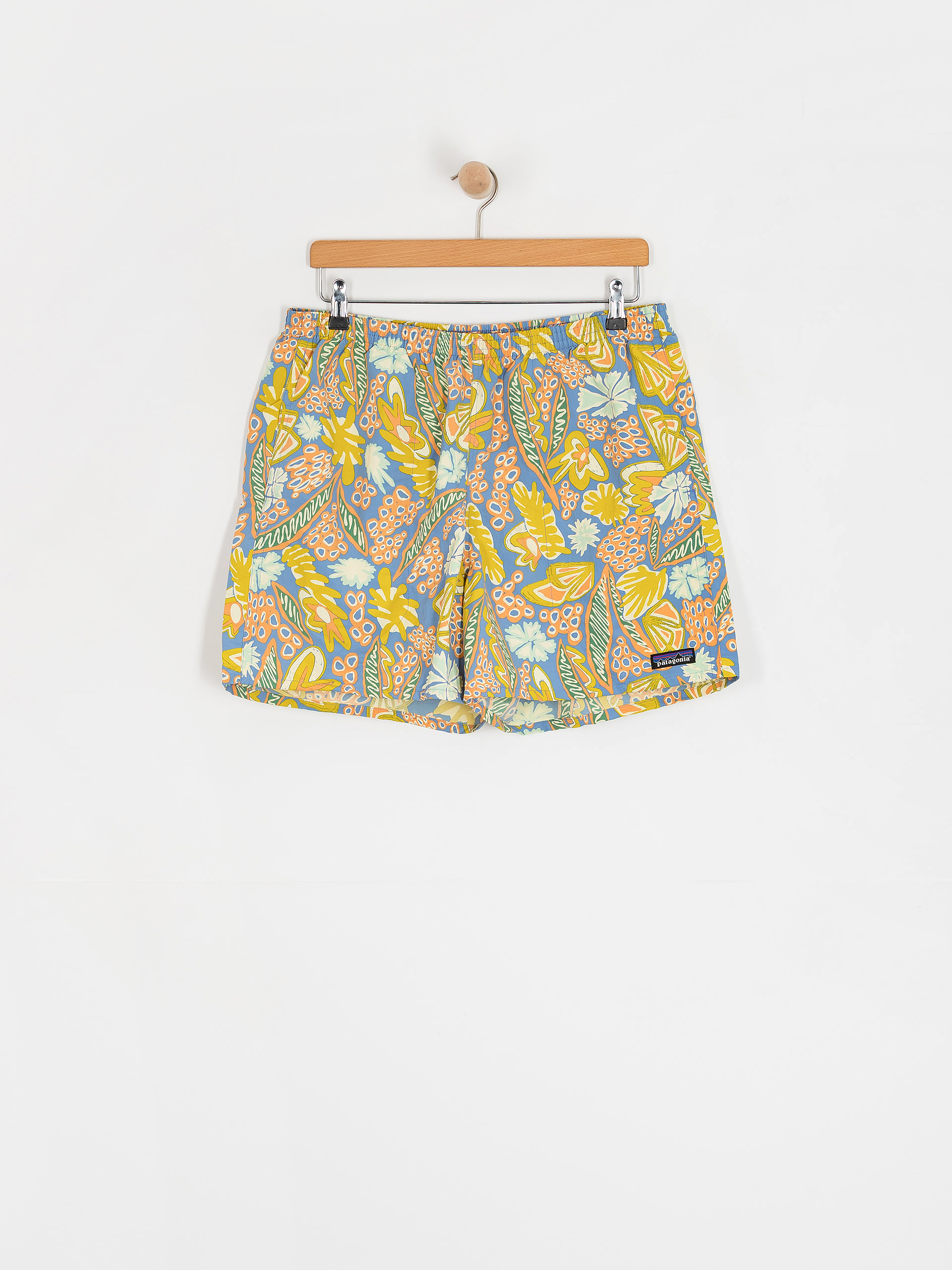 Patagonia Shorts Baggies Shorts 5in (flourish/abundant blue)