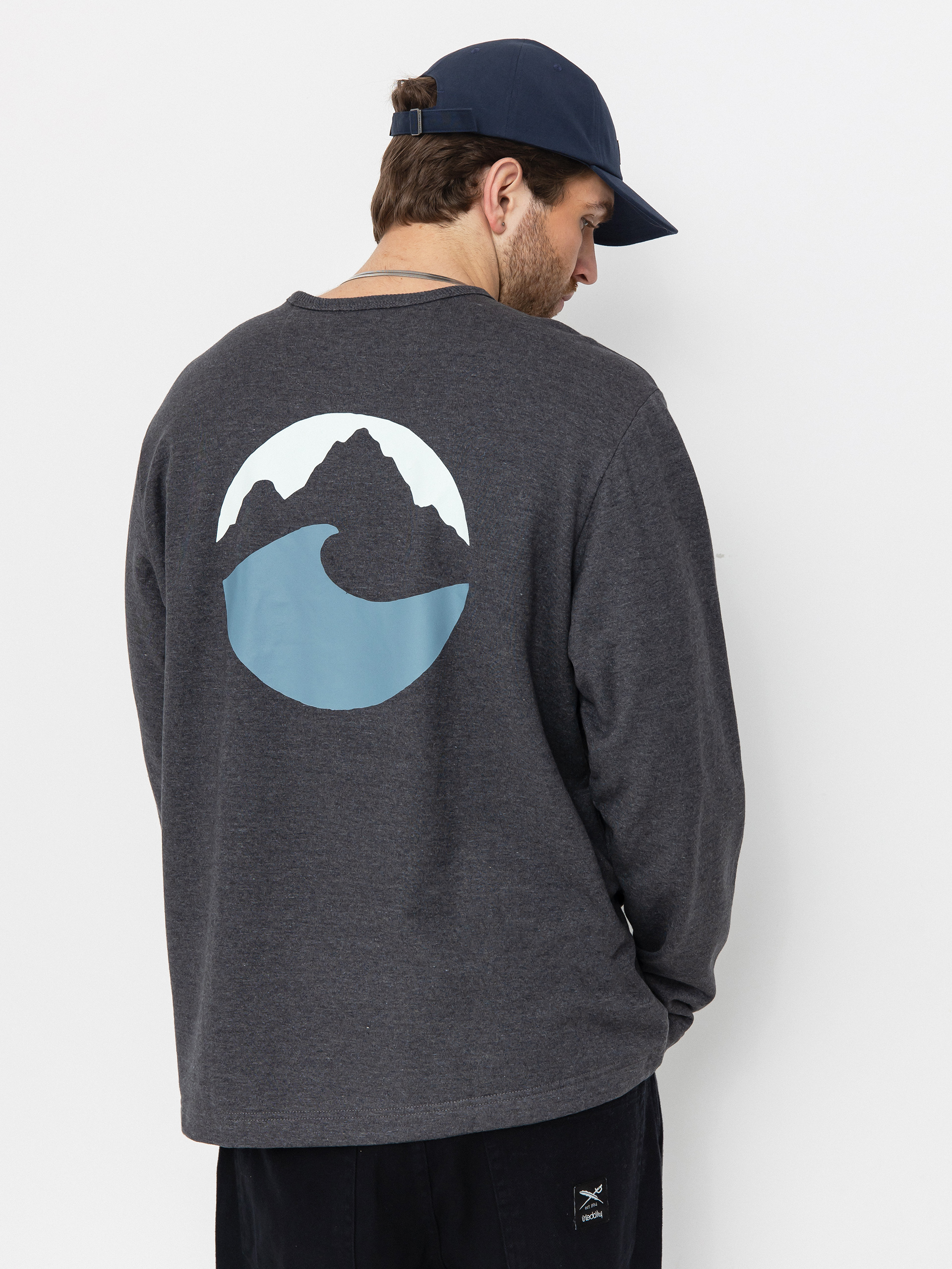 Patagonia Lightweight Applied Imagination Wildrise Sweatshirt (ink black)