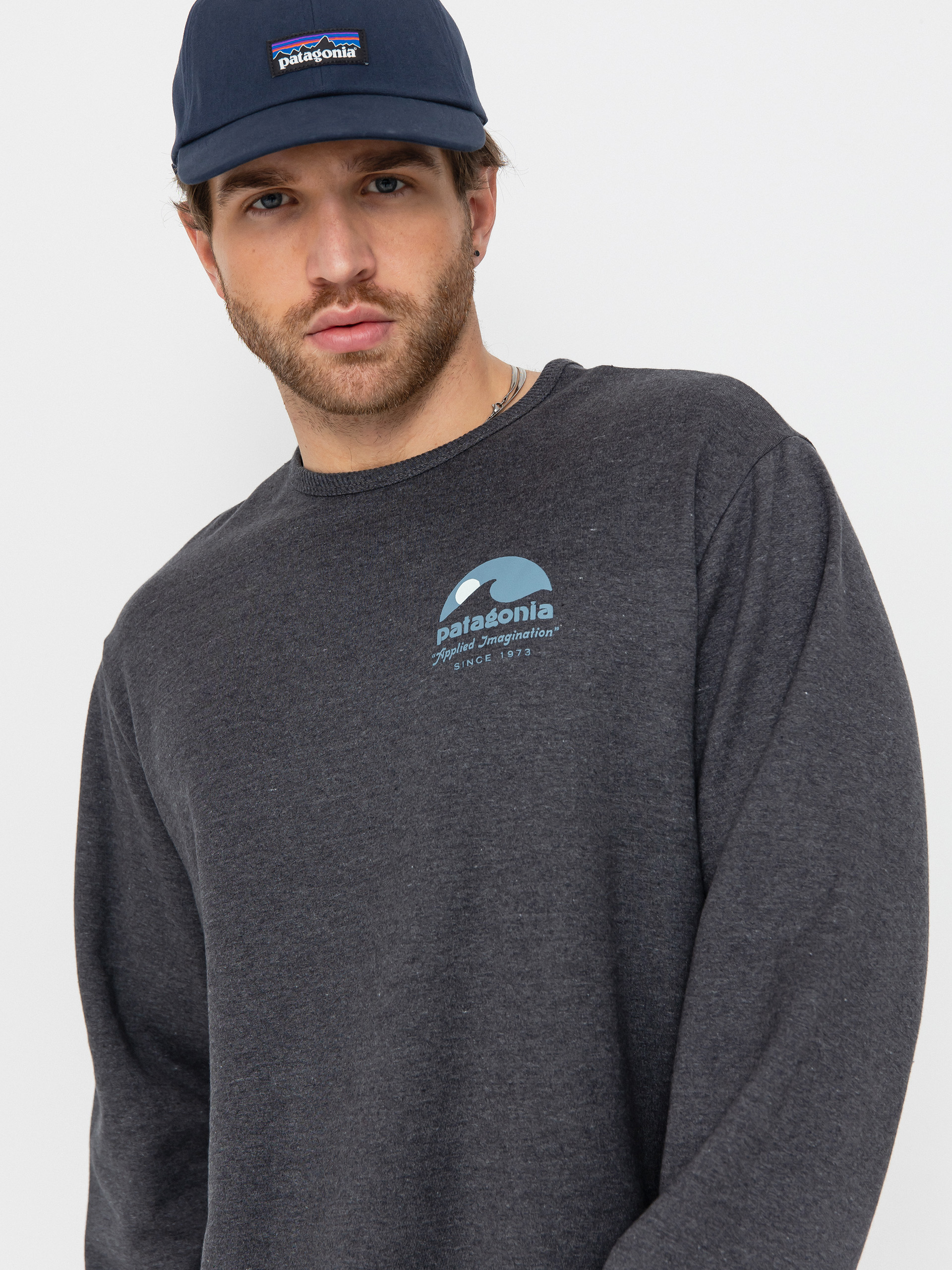 Patagonia Lightweight Applied Imagination Wildrise Sweatshirt (ink black)