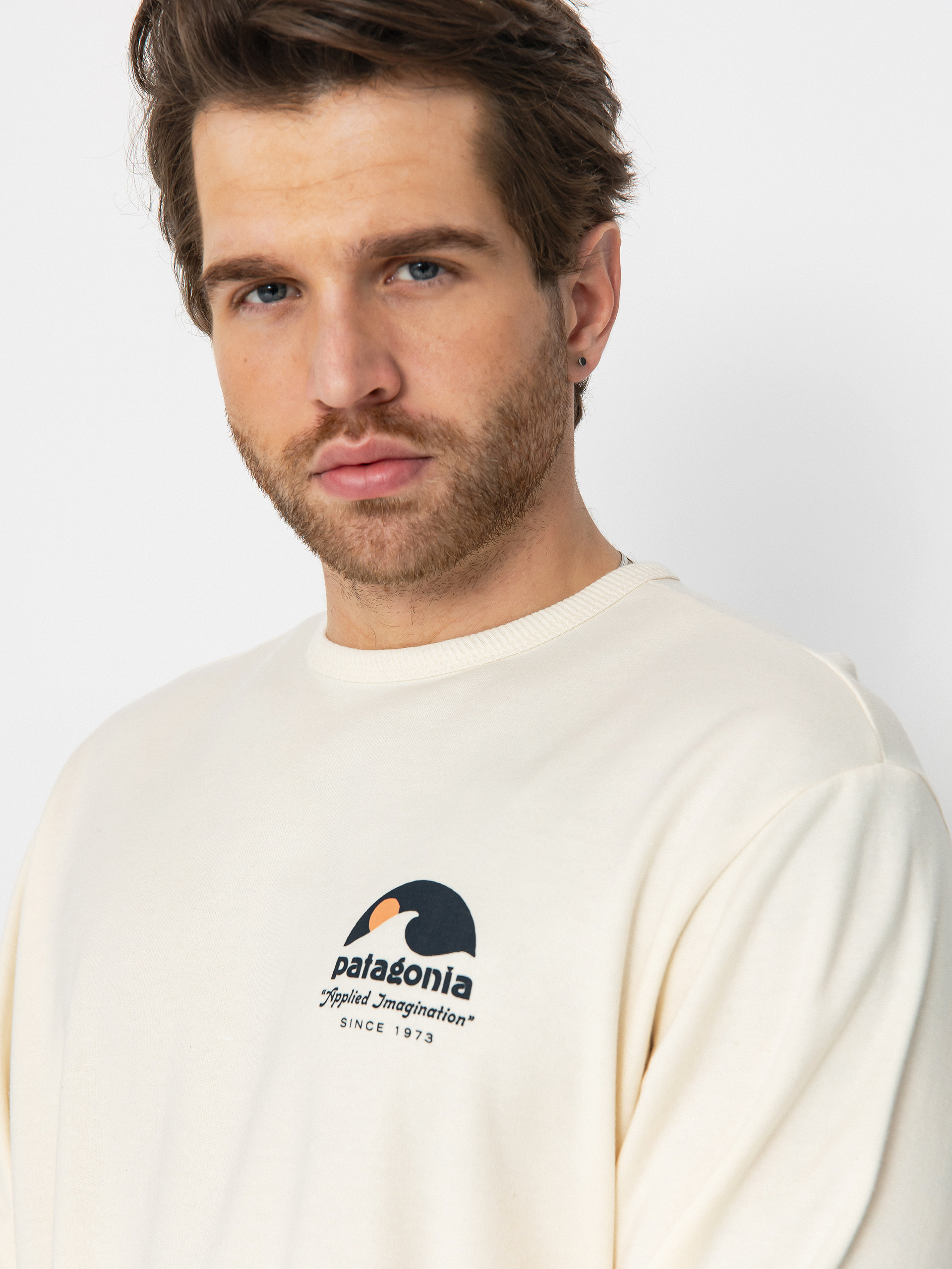 Patagonia Lightweight Applied Imagination Wildrise Sweatshirt (natural)