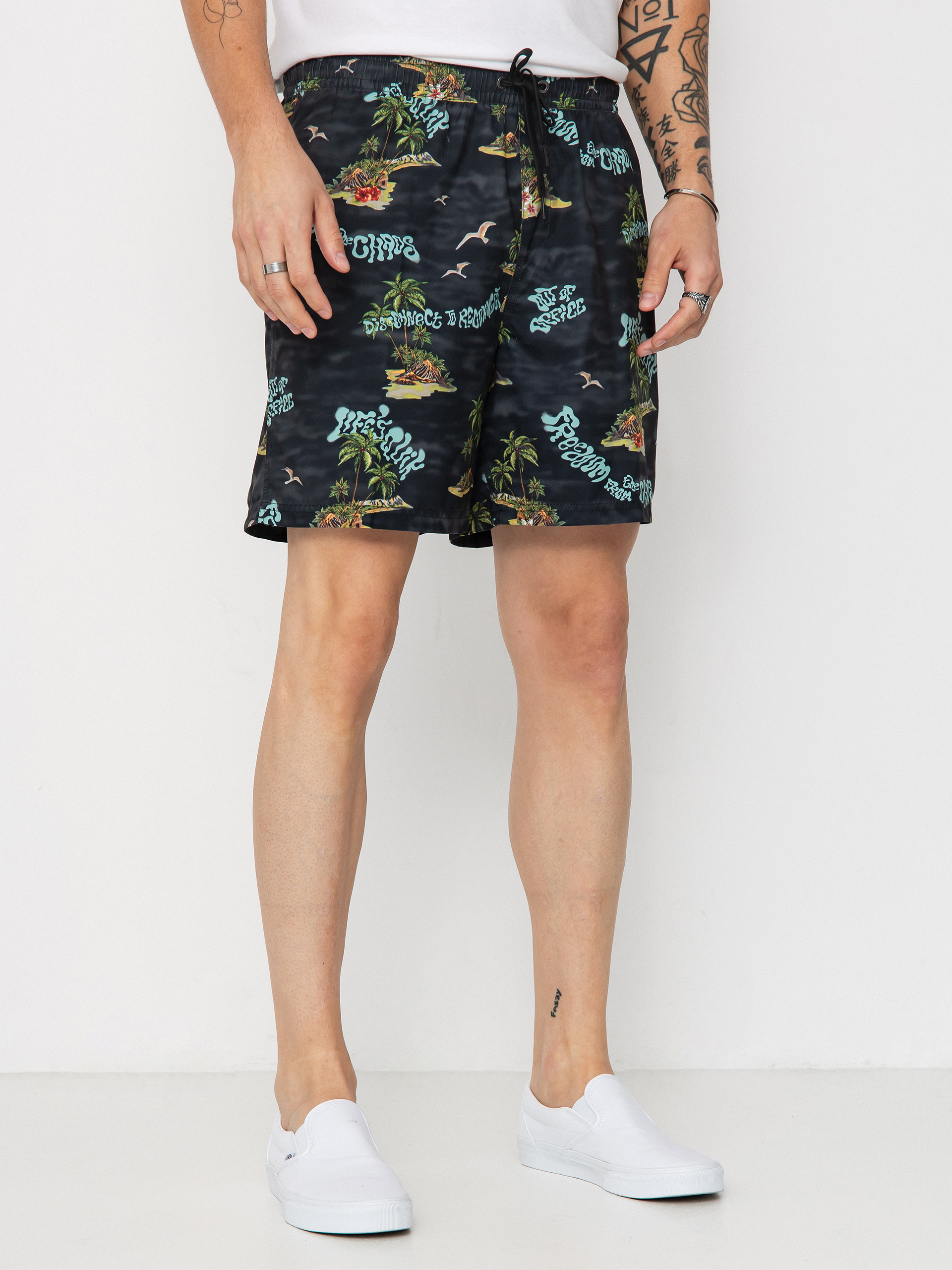 Quiksilver Shorts Everyday Straight Volley 17 (black naturama)