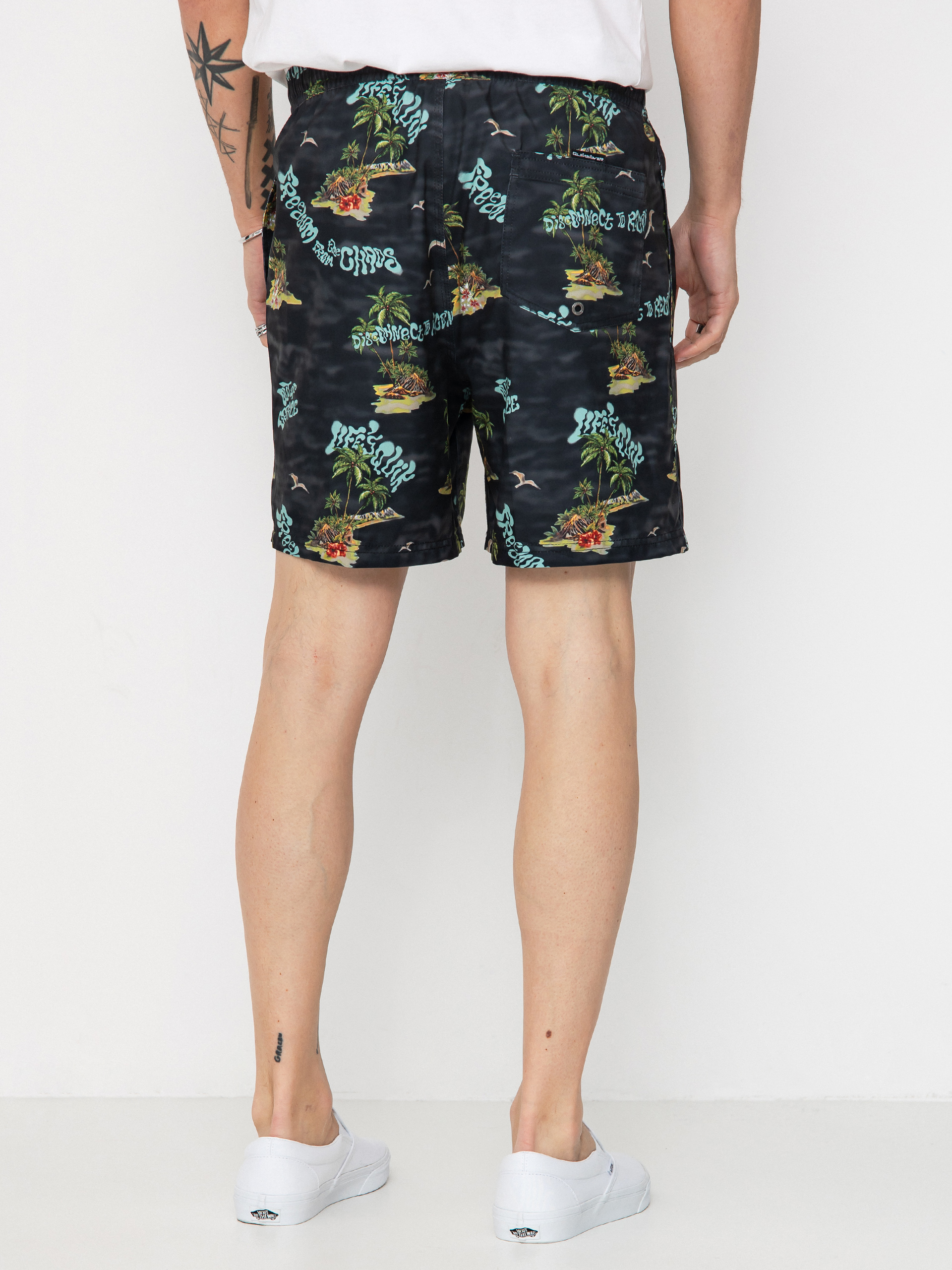 Quiksilver Shorts Everyday Straight Volley 17 (black naturama)