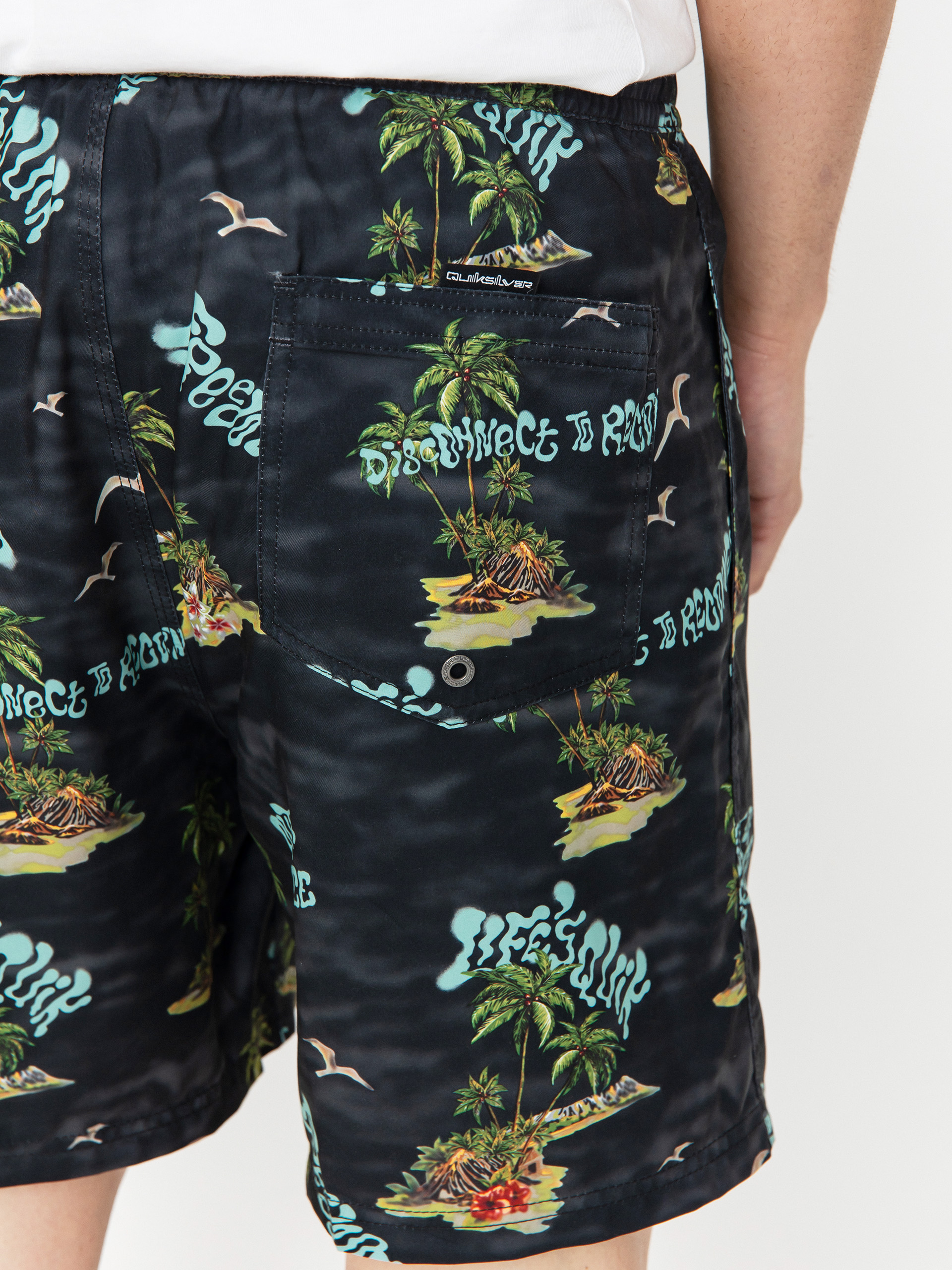 Quiksilver Shorts Everyday Straight Volley 17 (black naturama)