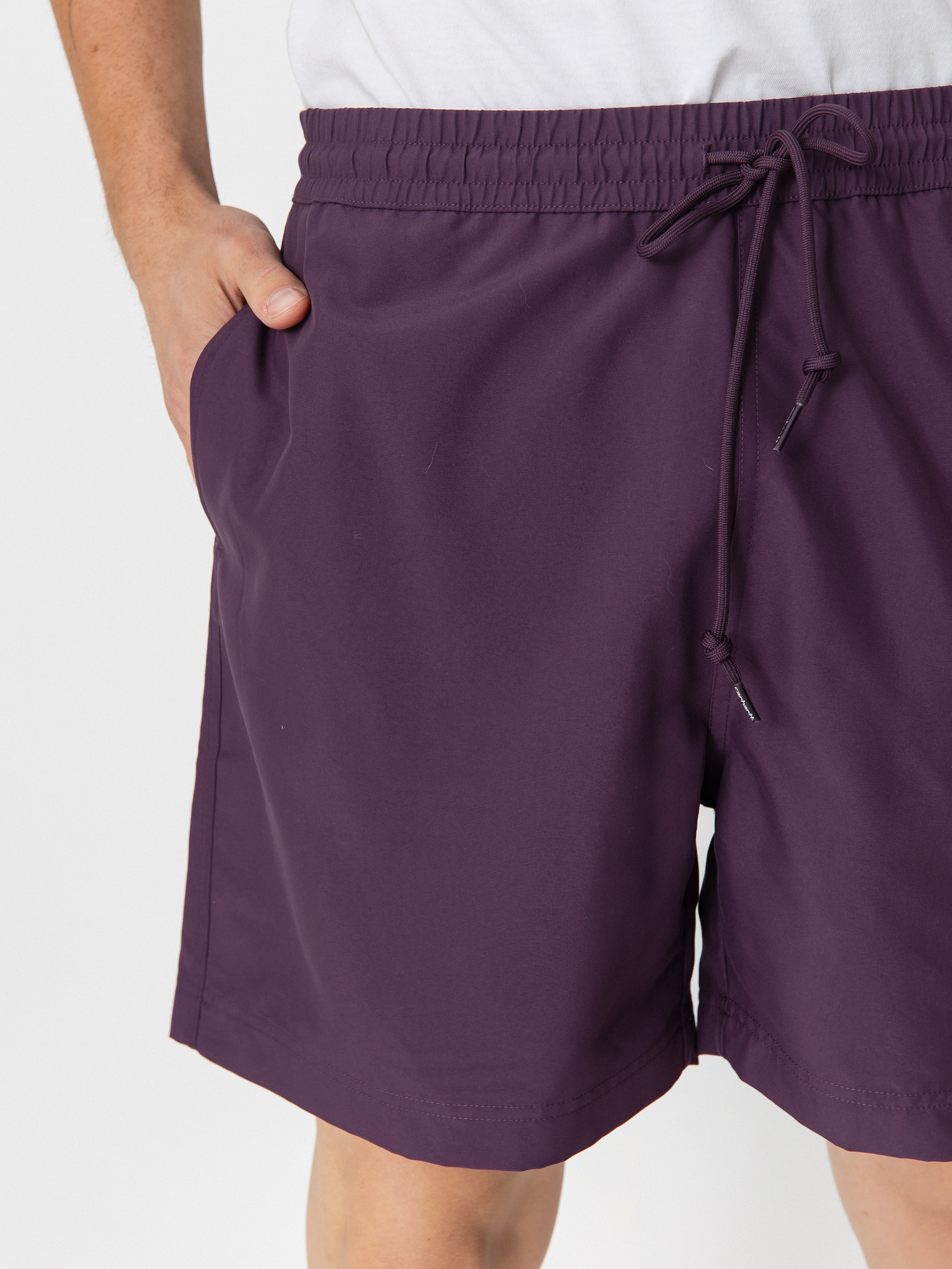 Carhartt WIP Shorts Chase Swim (huckleberry/gold)