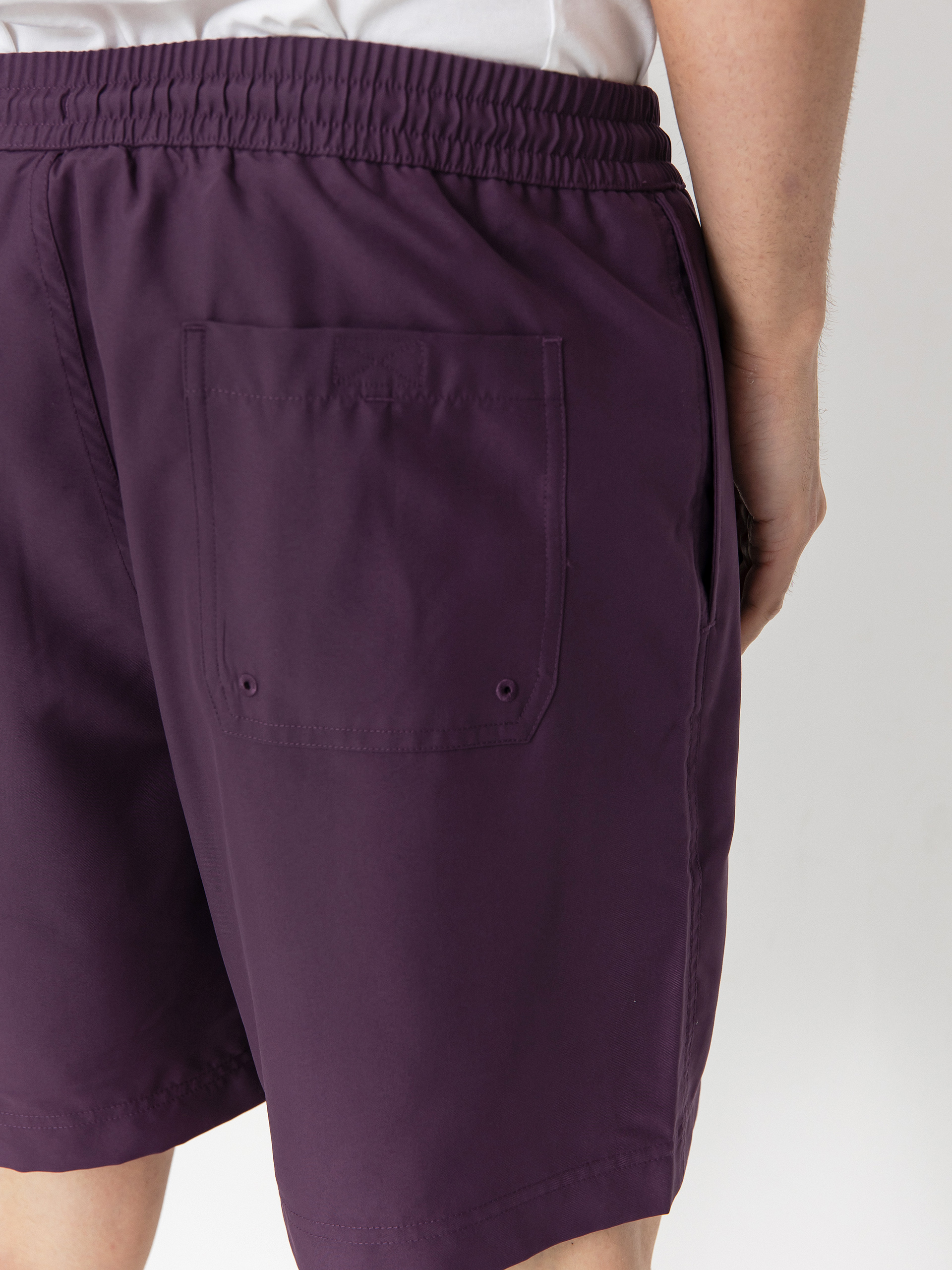 Carhartt WIP Shorts Chase Swim (huckleberry/gold)