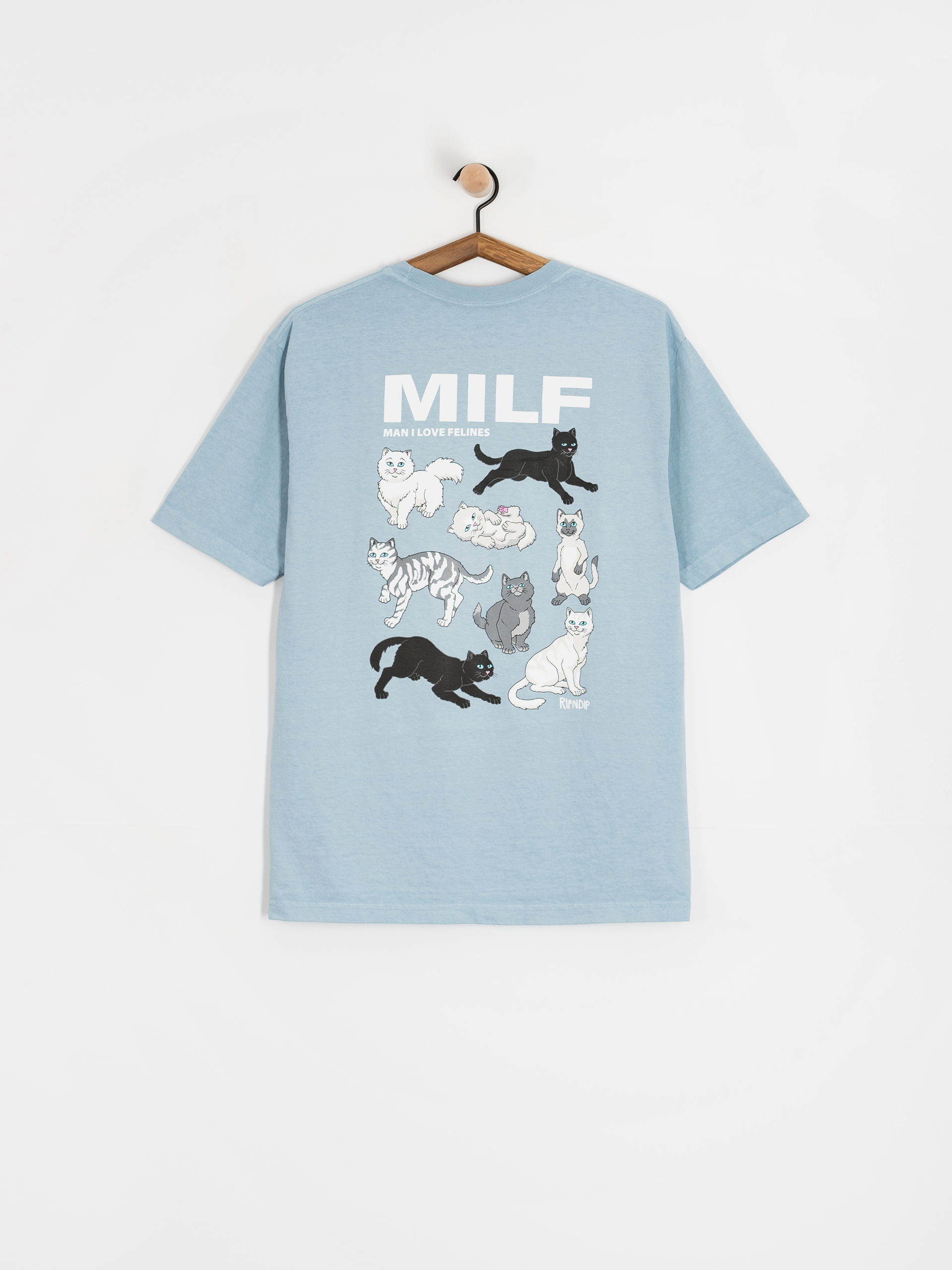 RipNDip Man I Love Felines T-Shirt (powder blue)