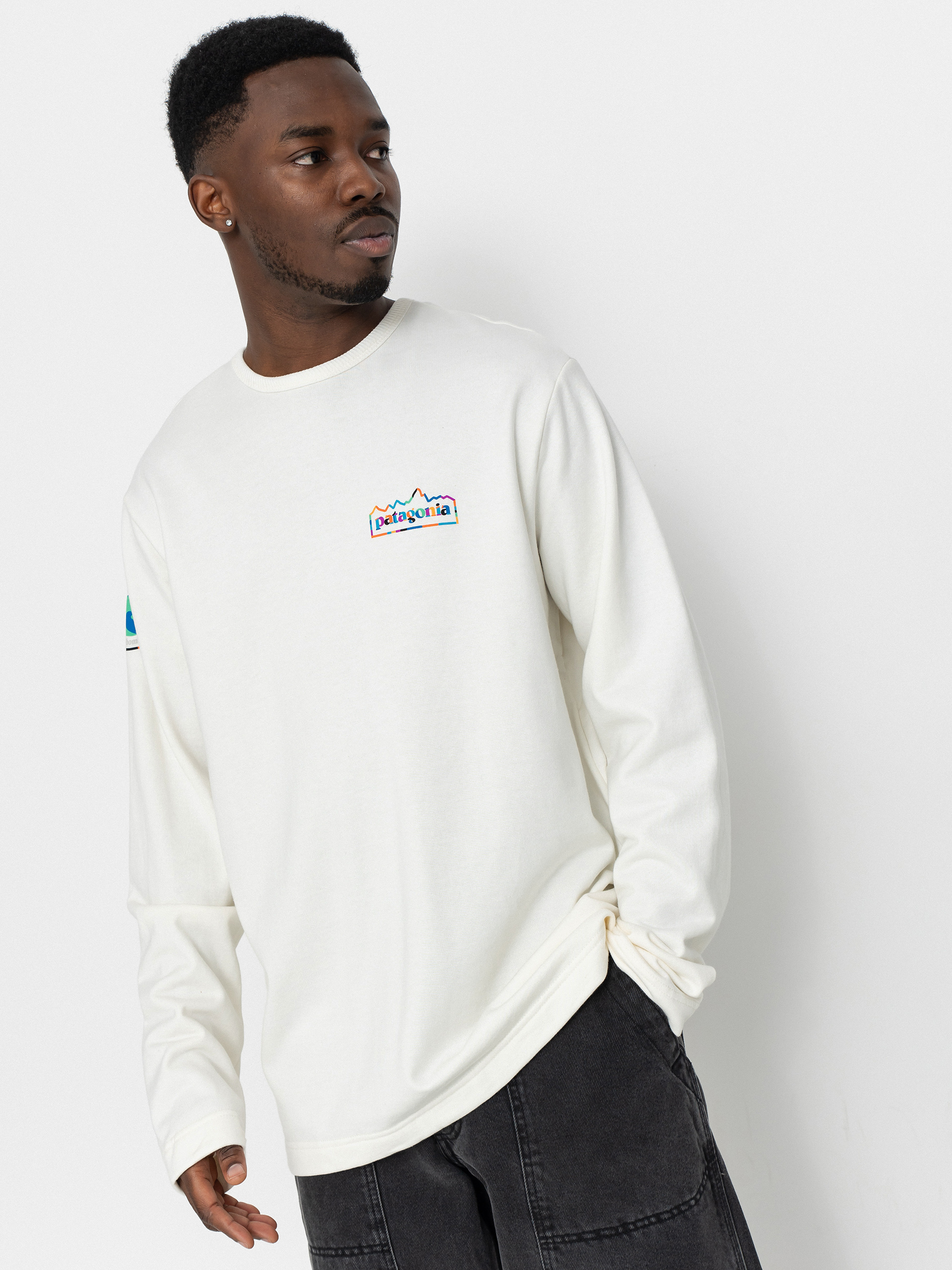 Patagonia Lightweight Unity Fitz Wildrise Sweatshirt (birch white)