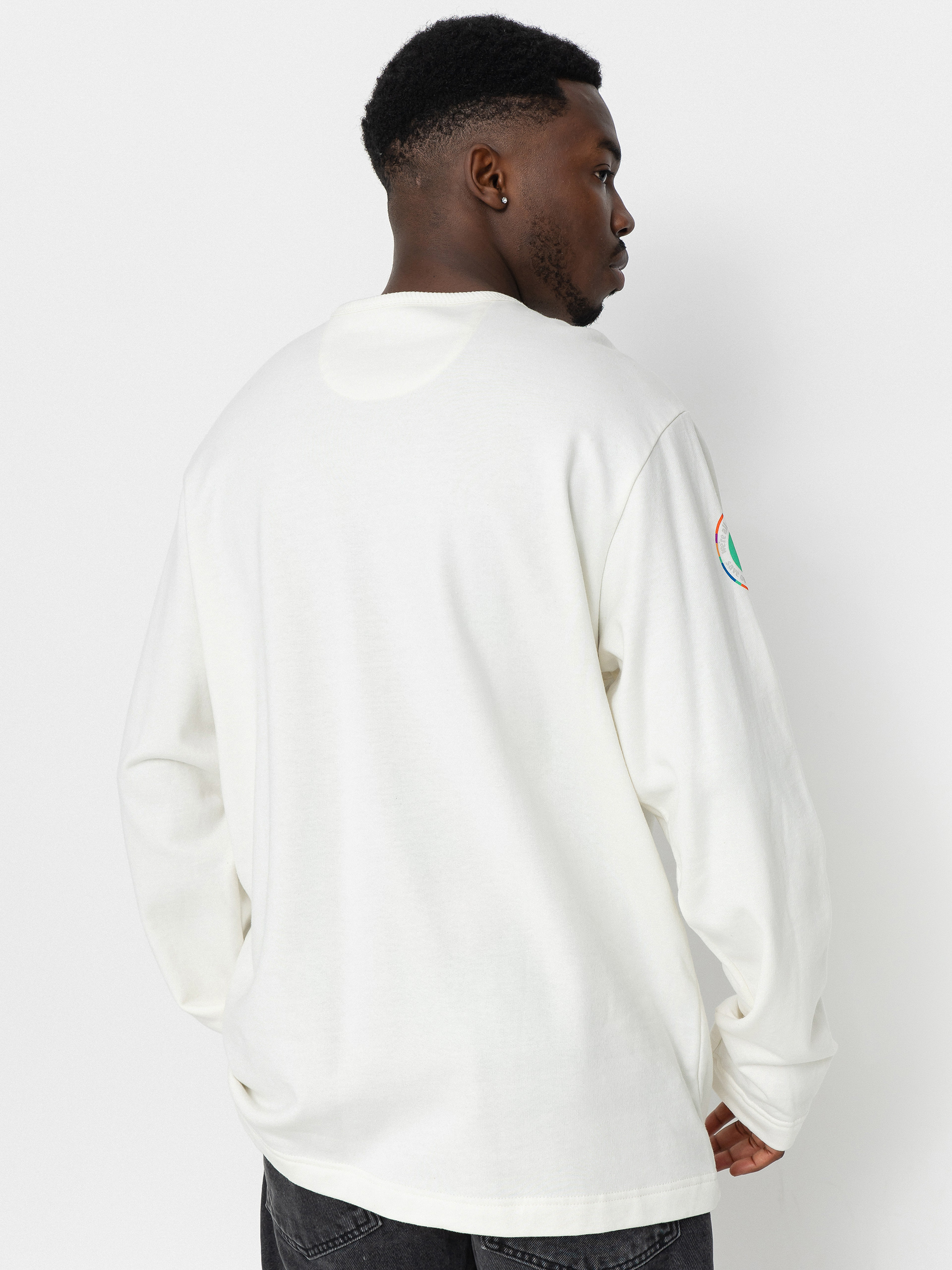 Patagonia Lightweight Unity Fitz Wildrise Sweatshirt (birch white)