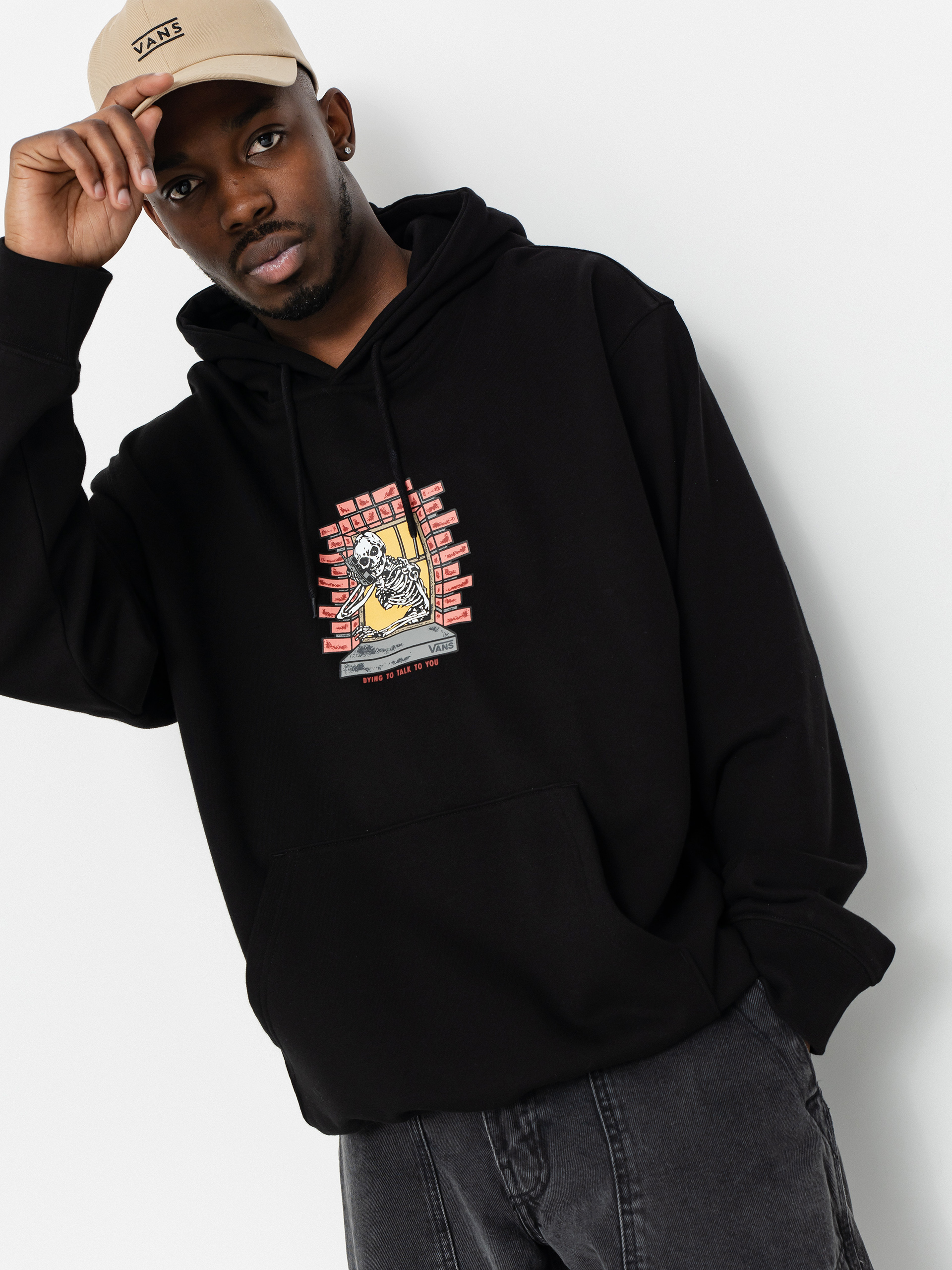 Vans Skull Window HD Hoodie (black)