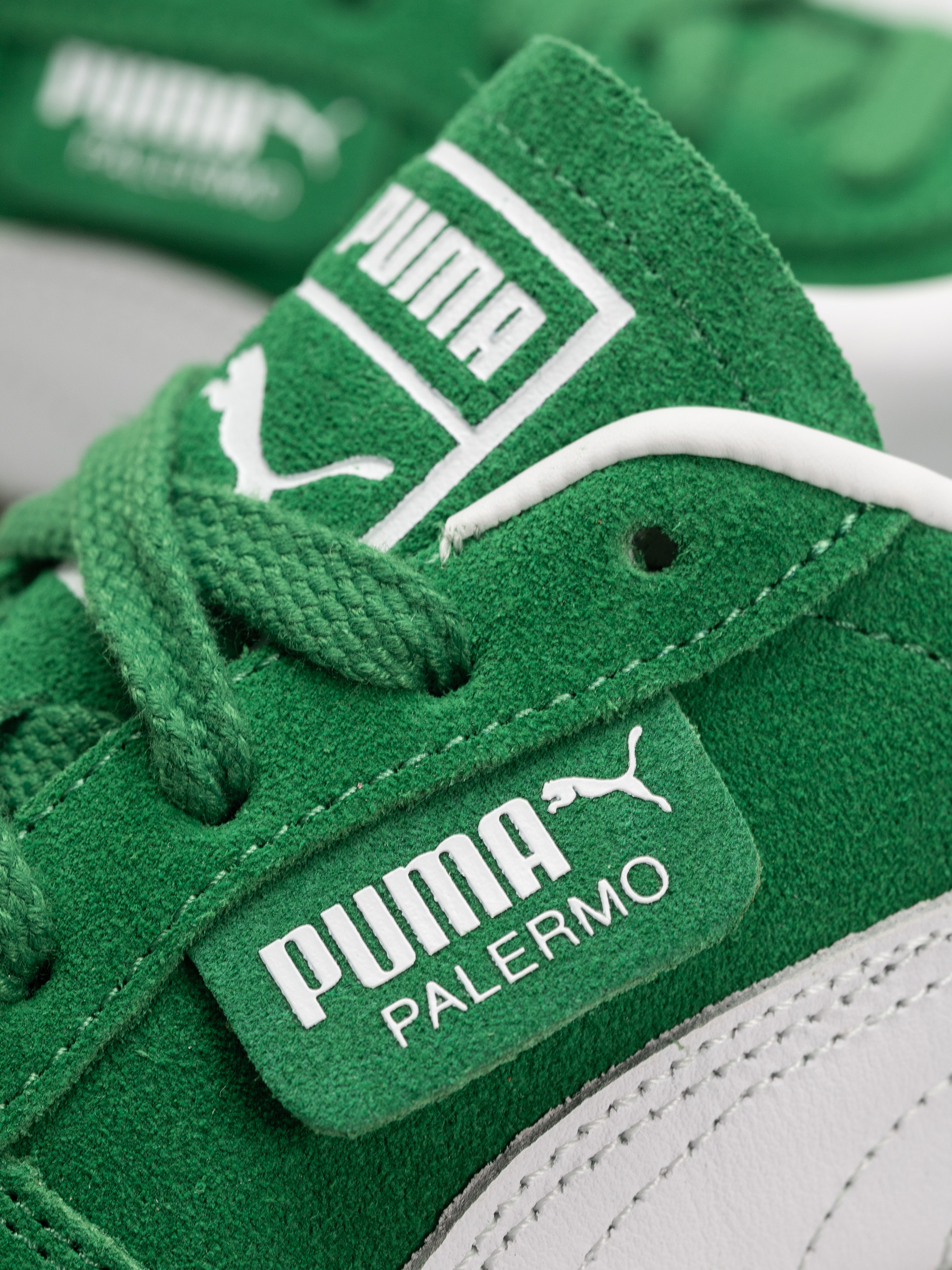 Puma Palermo Shoes (archive green/puma white)