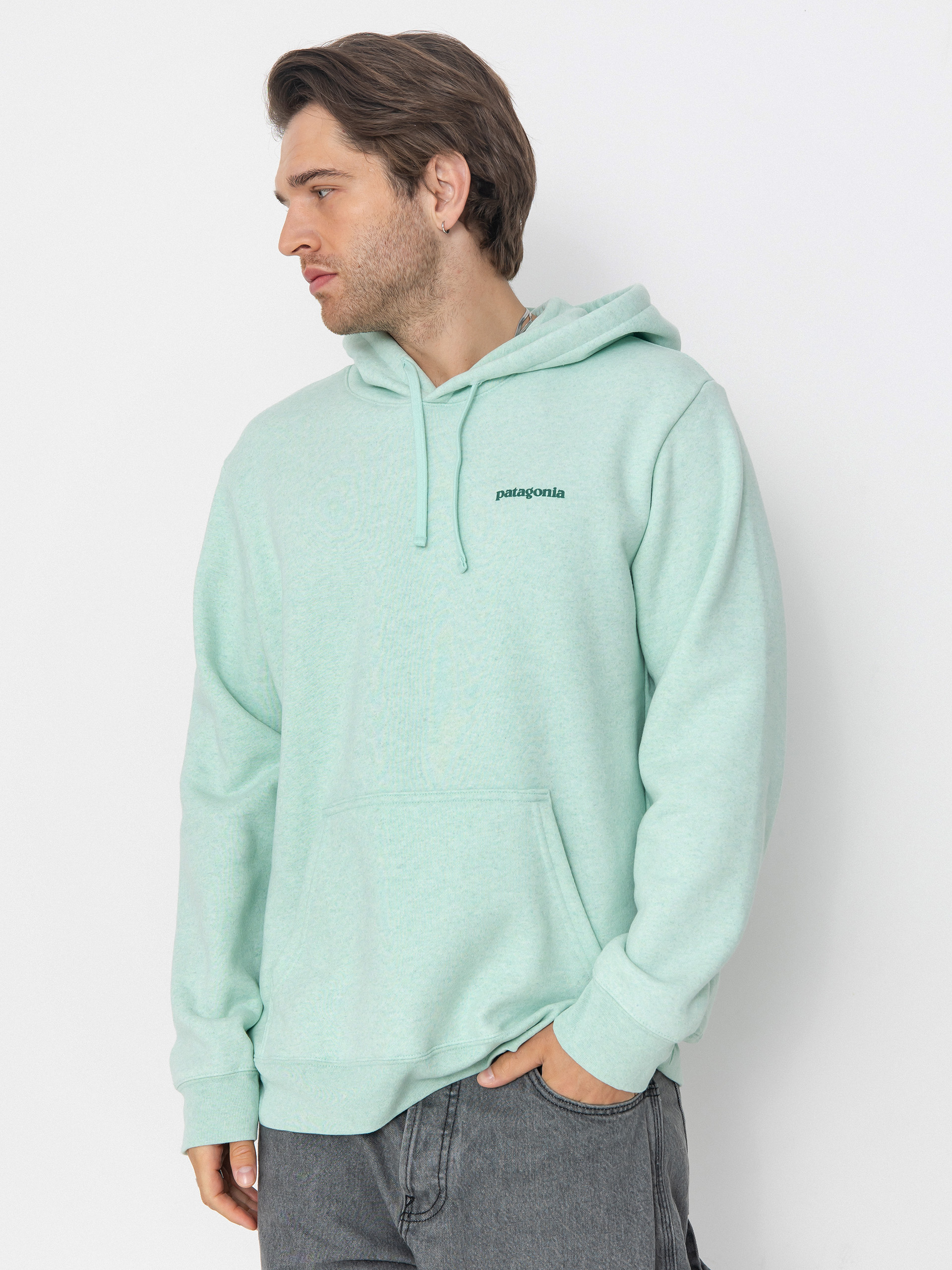 Patagonia Fitz Roy Icon Uprisal HD Hoodie (rinsed green)