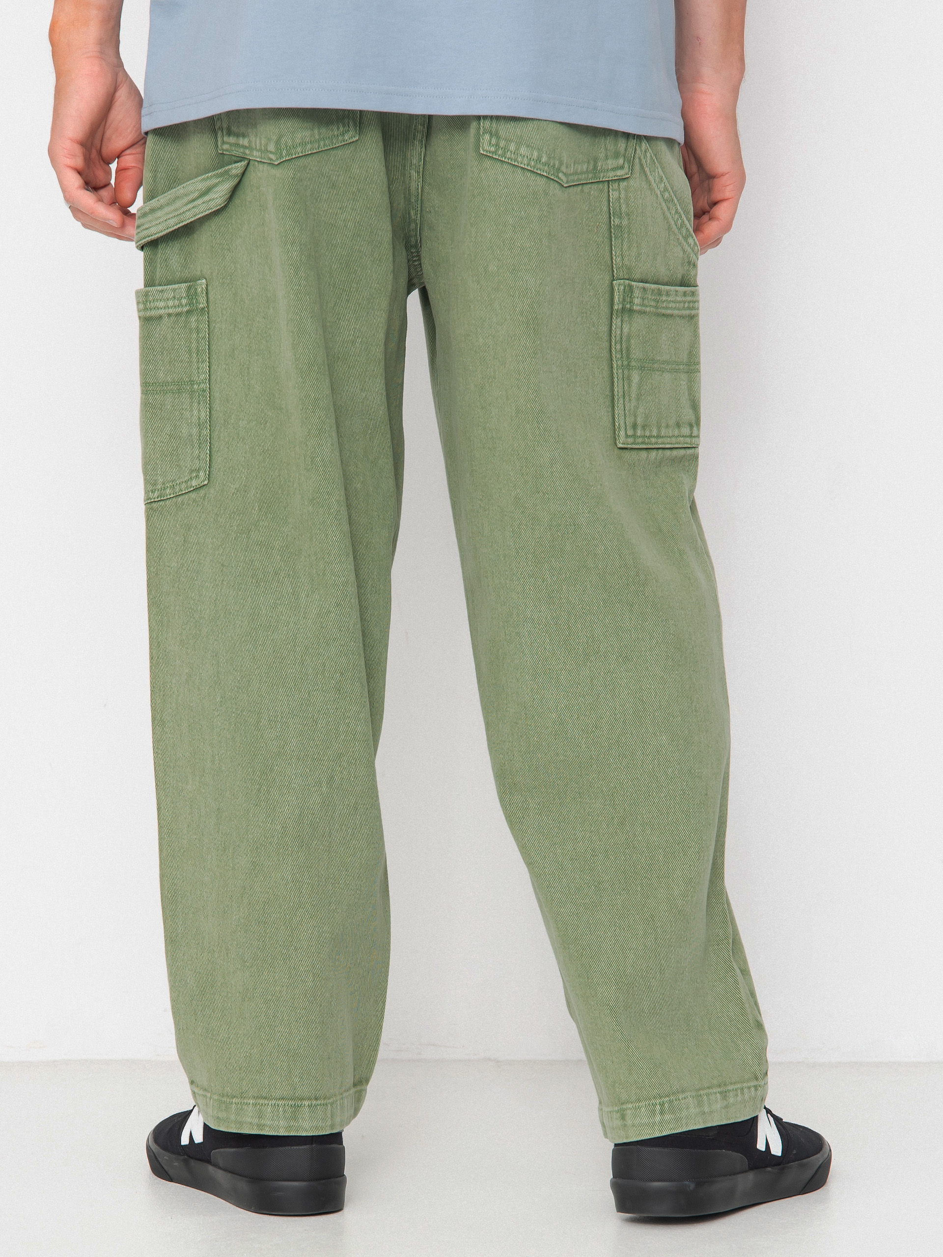 Santa Cruz Carpenter Big Pants (iguana)