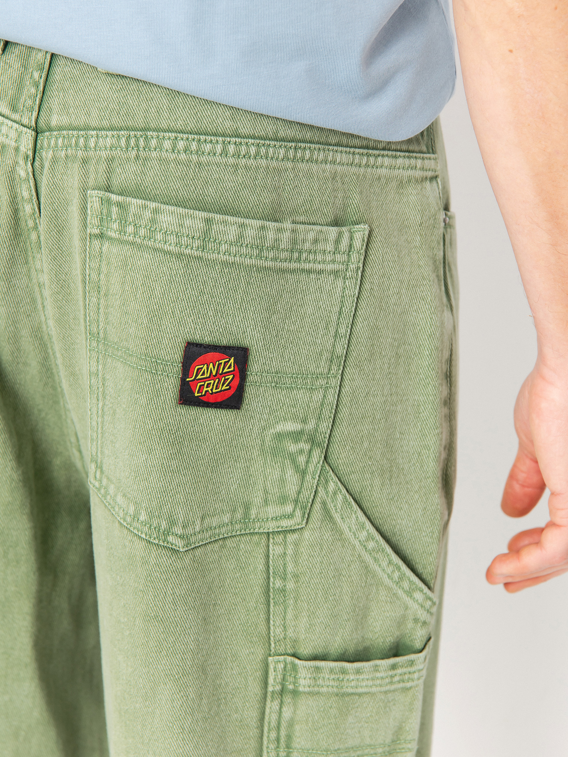 Santa Cruz Carpenter Big Pants (iguana)