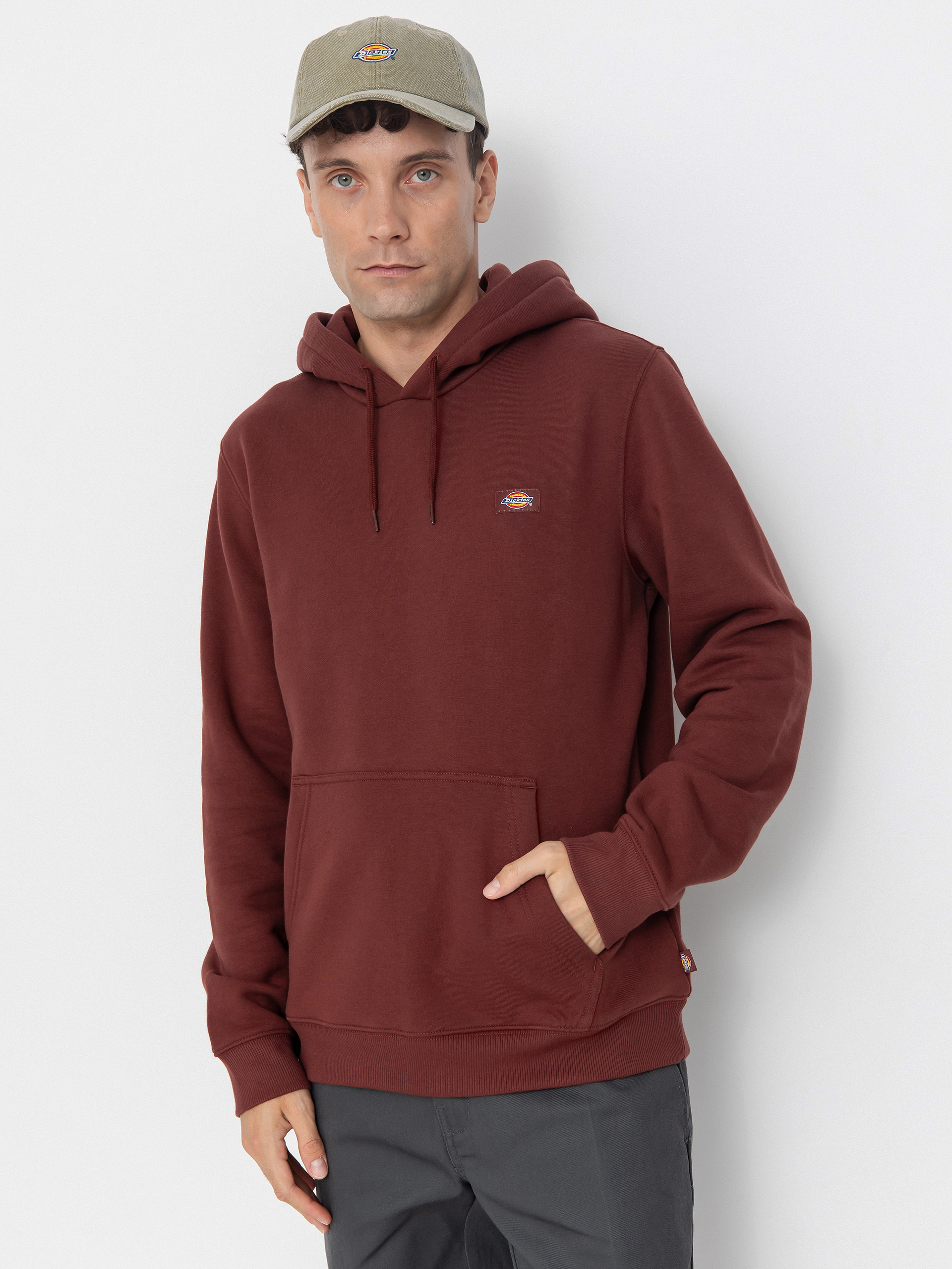 Dickies Oakport HD Hoodie (andorra)
