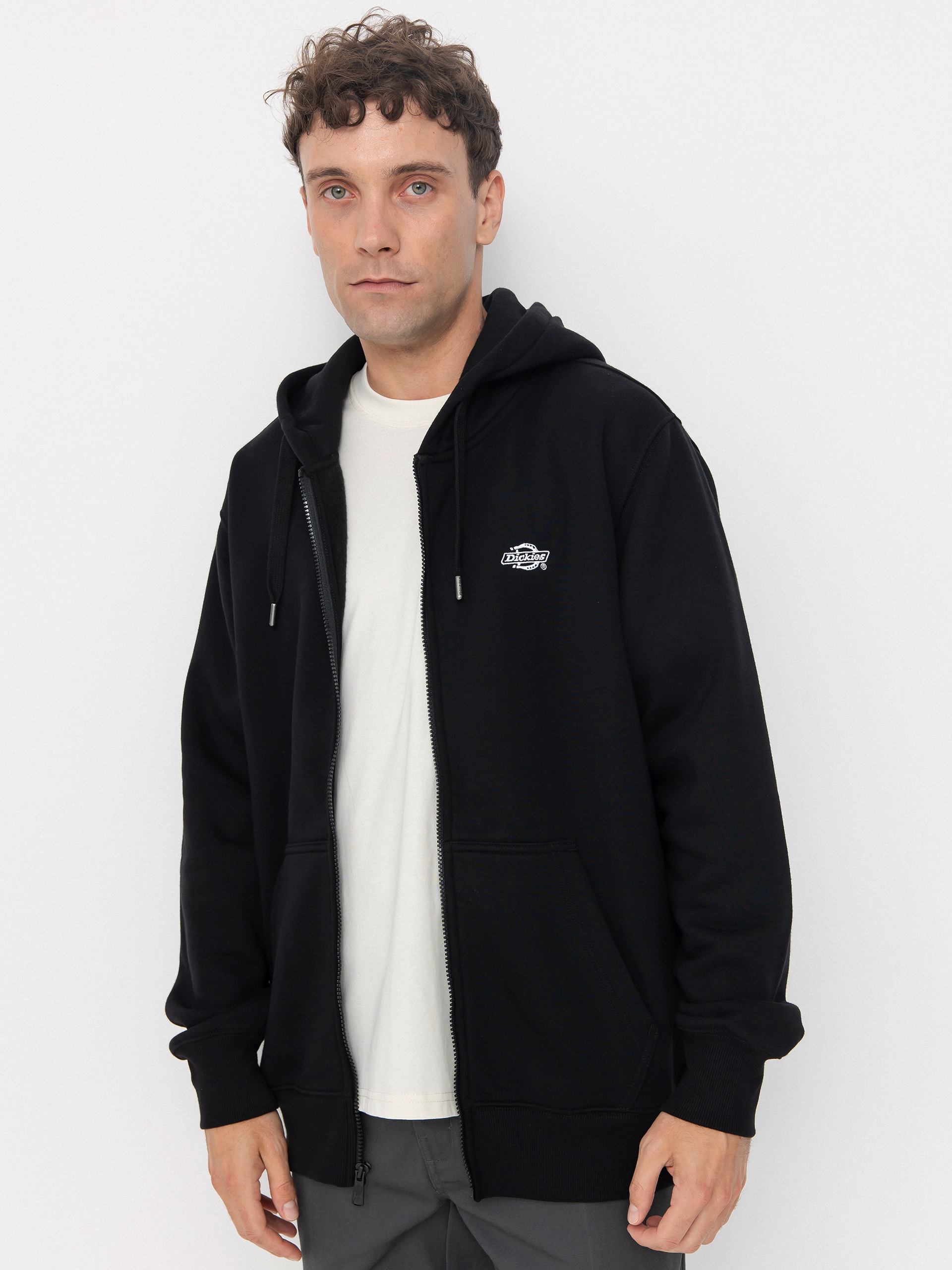 Dickies Summerdale ZHD Hoodie