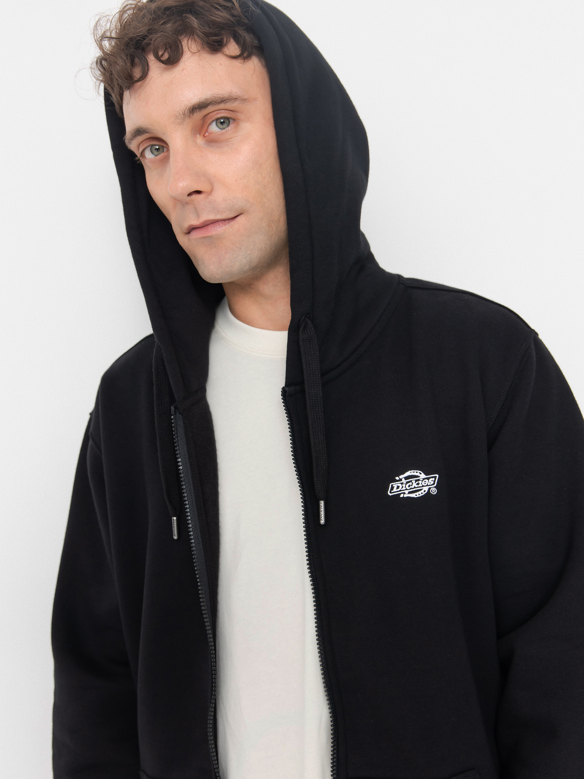 Dickies Summerdale ZHD Hoodie (black)