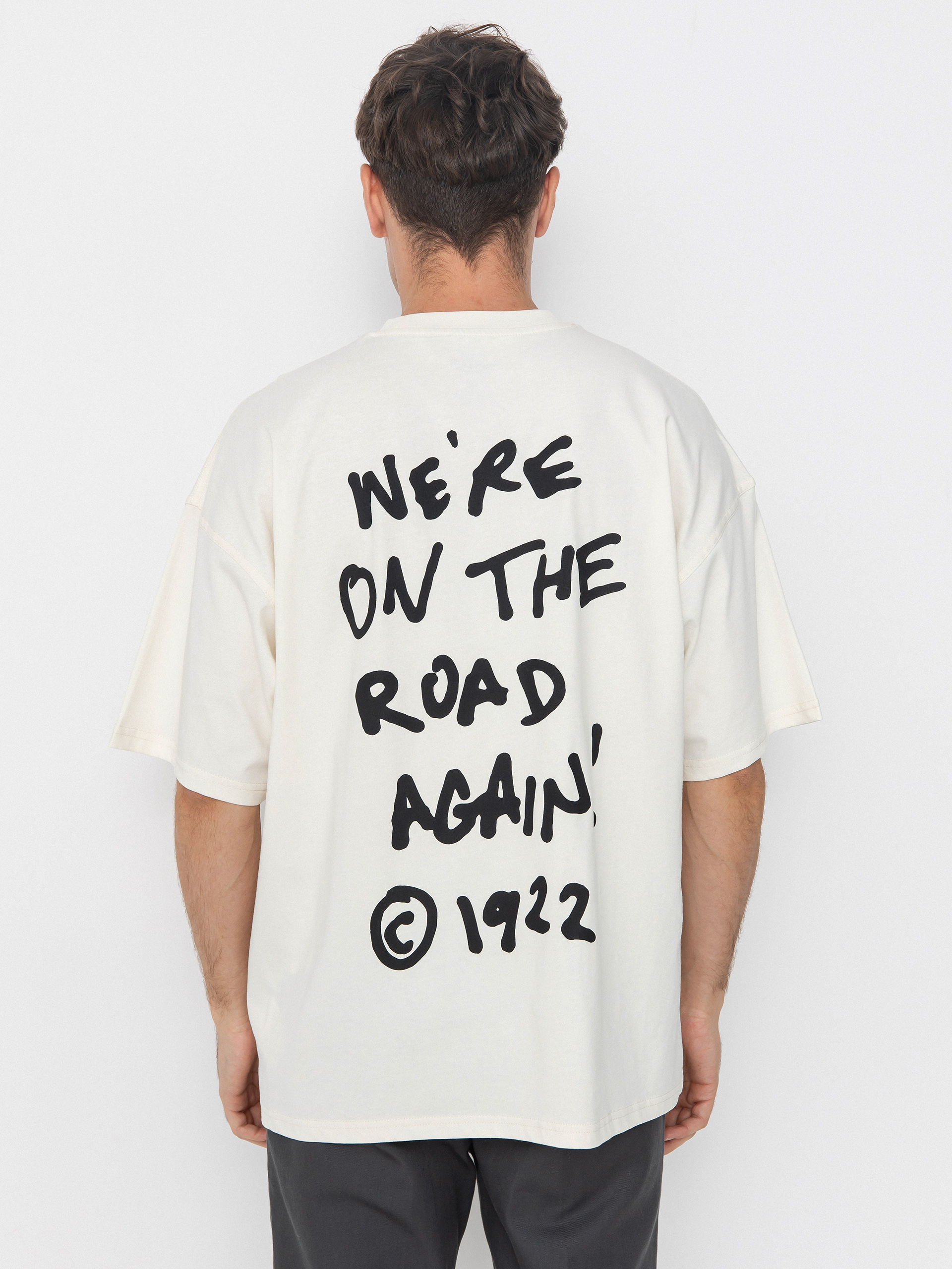 Dickies T-Shirt Sneedville (egret)