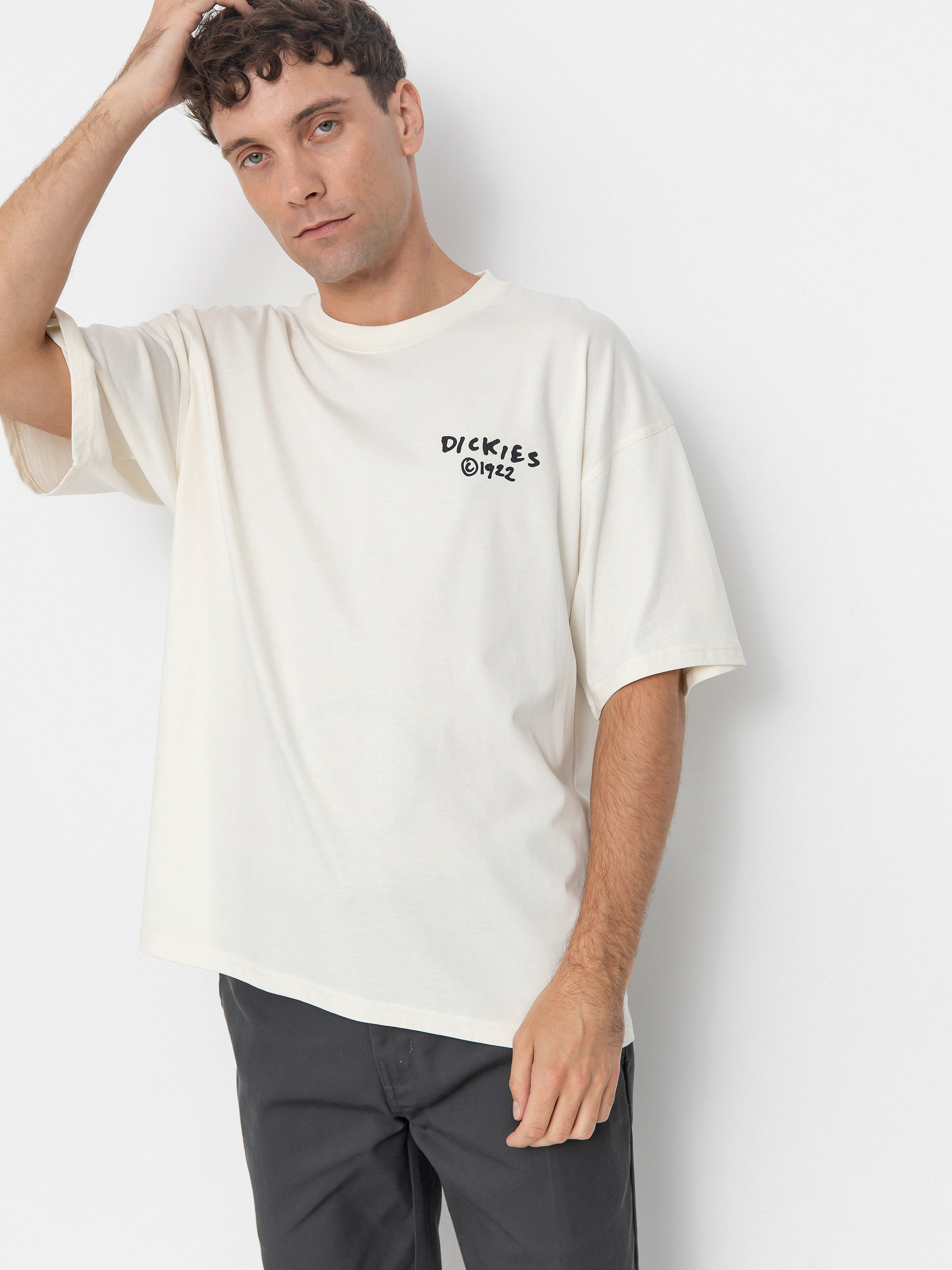 Dickies T-Shirt Sneedville (egret)