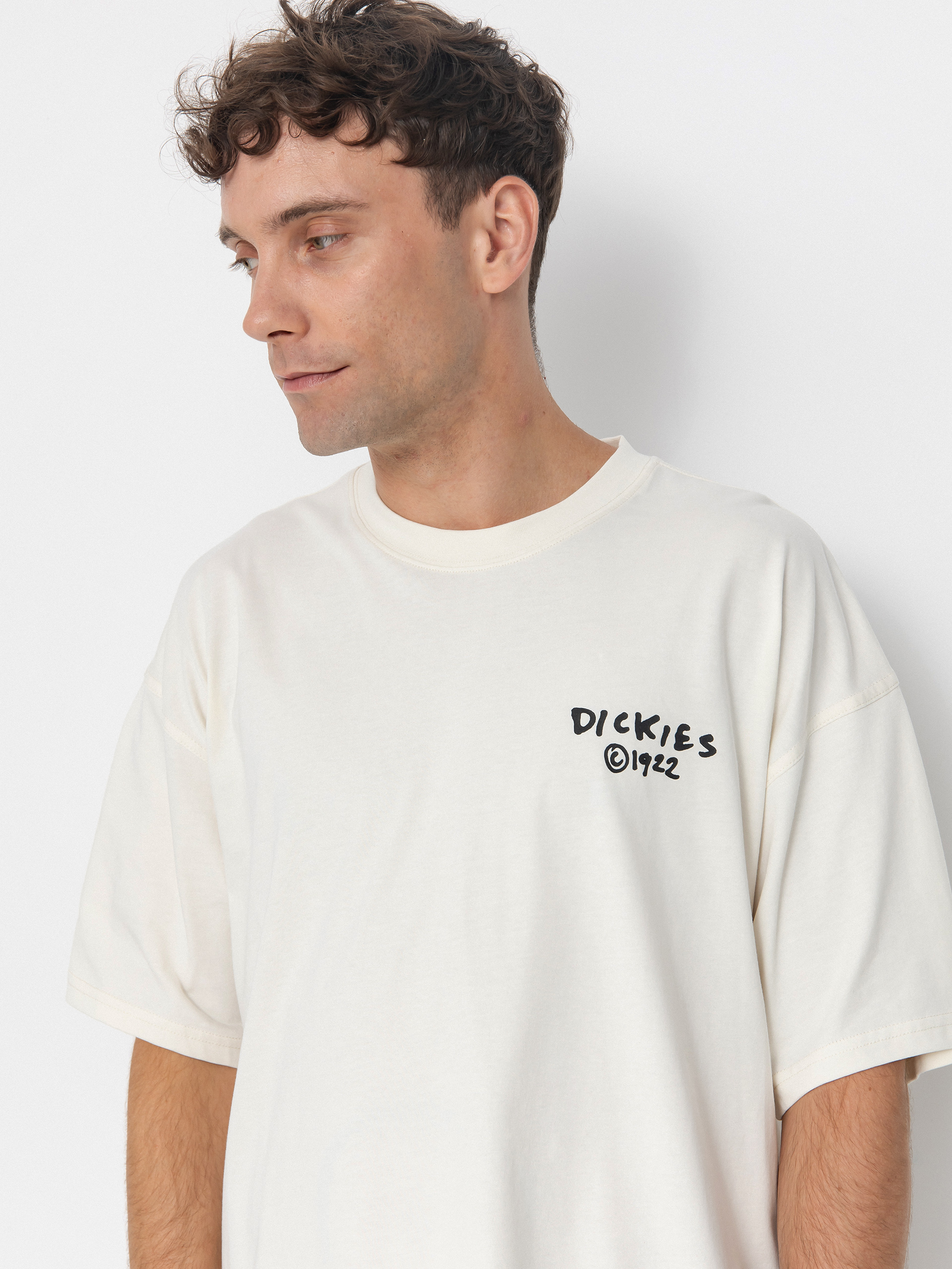 Dickies T-Shirt Sneedville (egret)