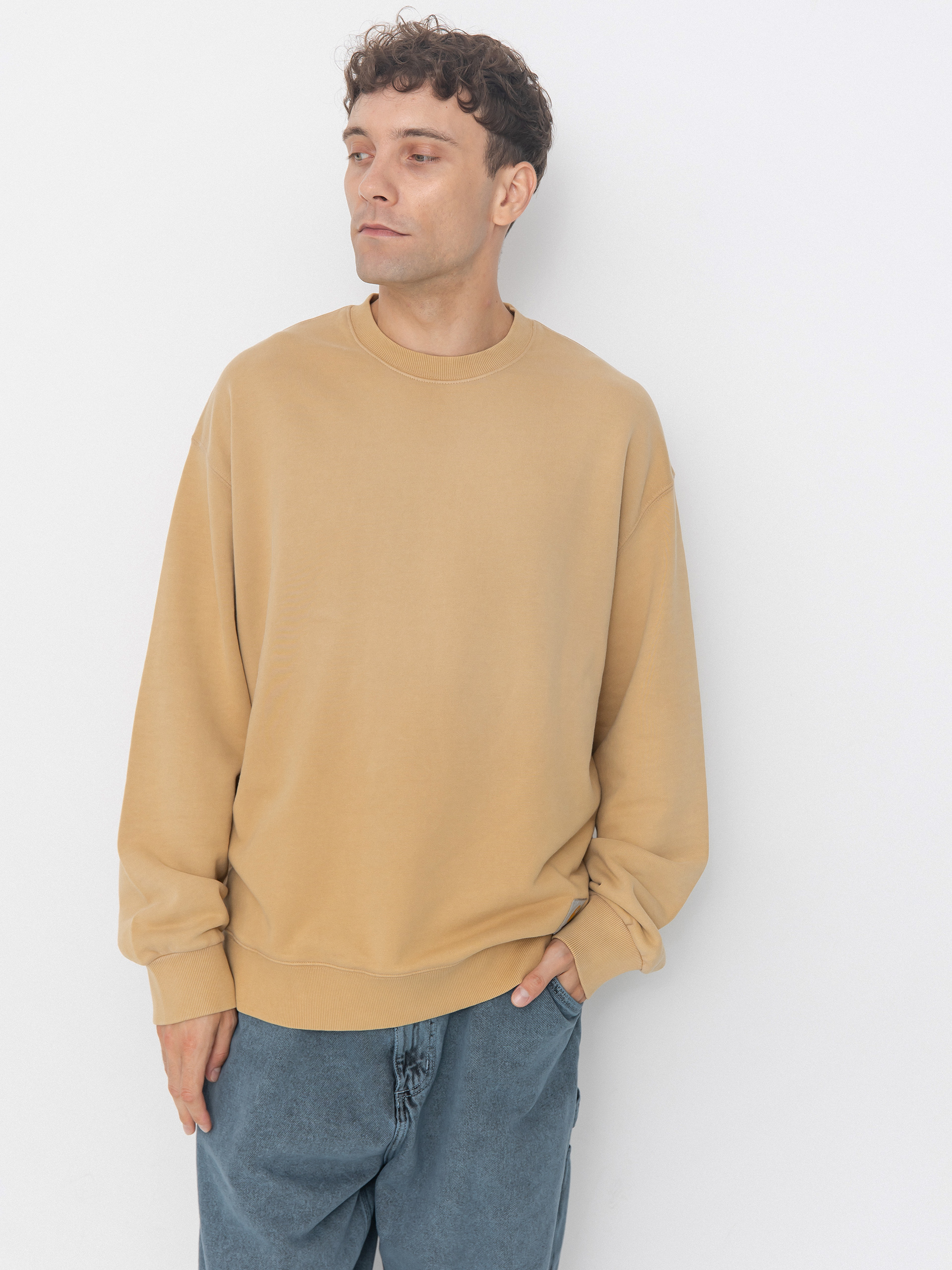 Carhartt WIP Hudson Sweatshirt (dusty h brown/chalk wash)