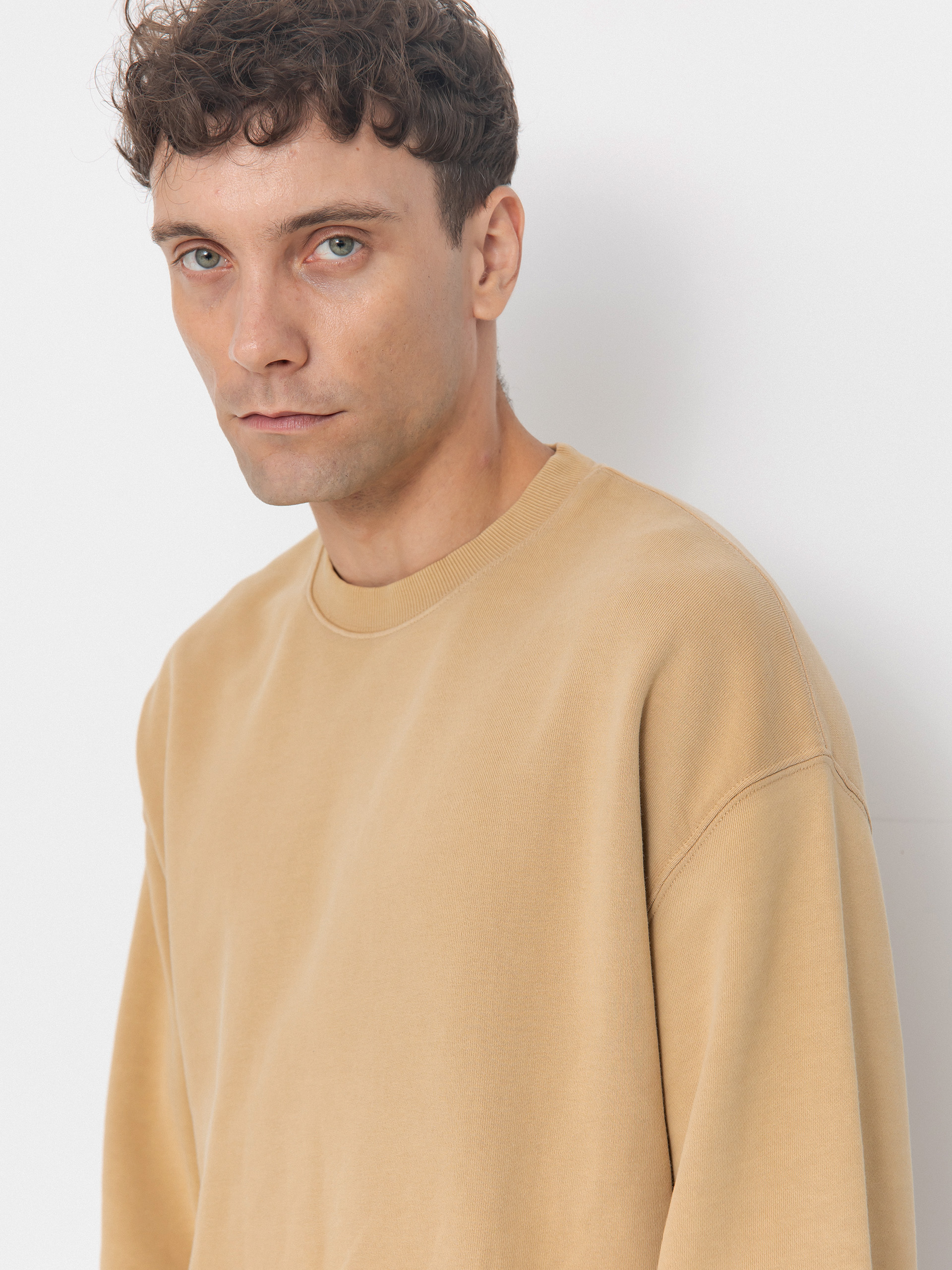 Carhartt WIP Hudson Sweatshirt (dusty h brown/chalk wash)