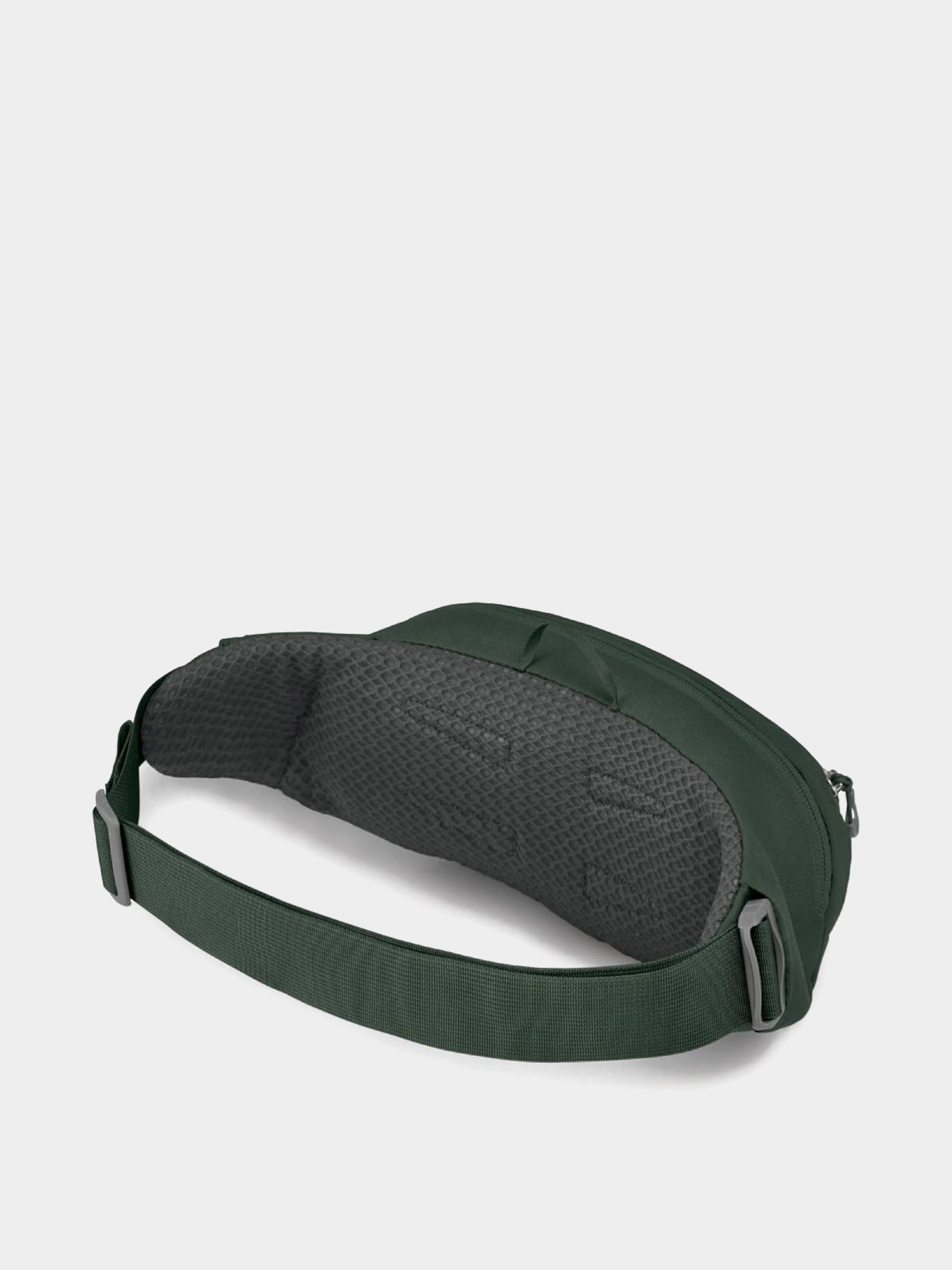 Osprey Daylite Waist Pack Gürteltasche (green belt/green canopy)