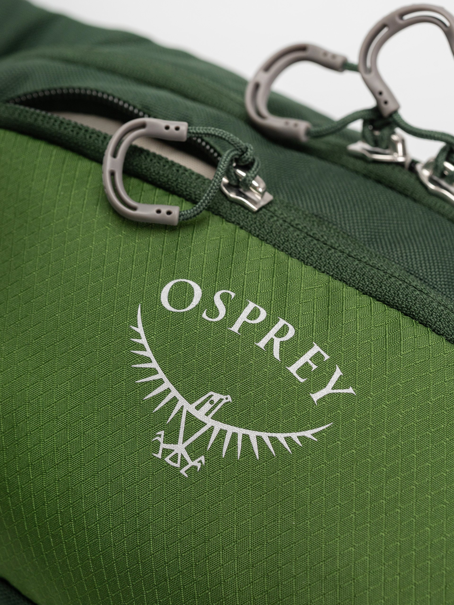 Osprey Daylite Waist Pack Gürteltasche (green belt/green canopy)