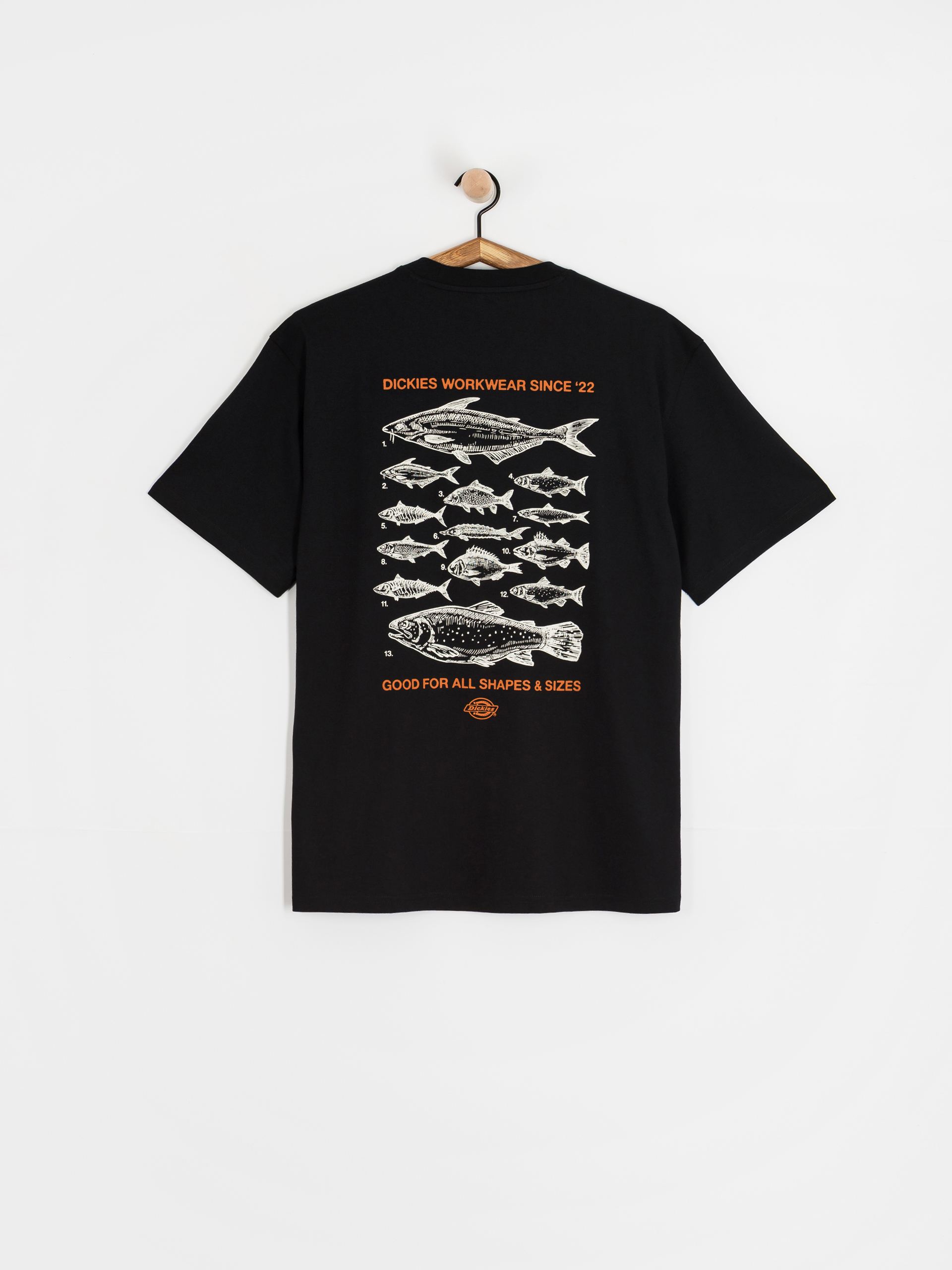 Dickies Laryville T-Shirt (black)