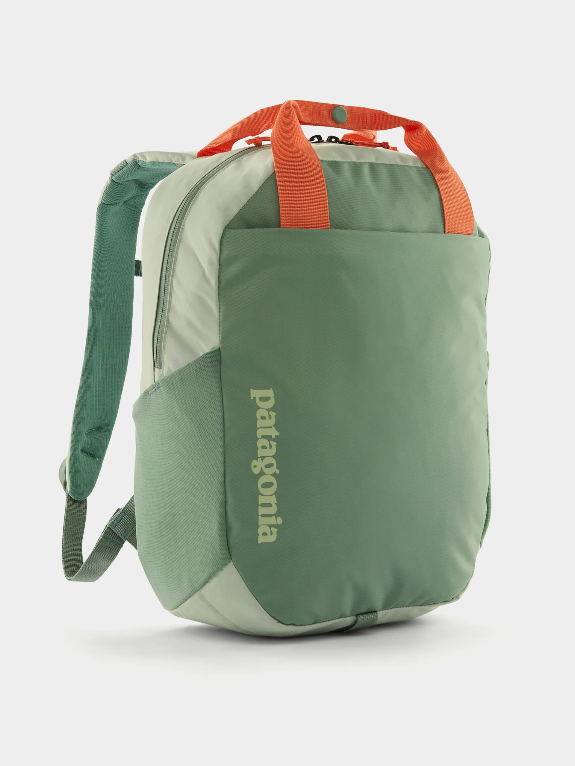 Patagonia Rucksack Atom Tote Pack 20L (lichen green)