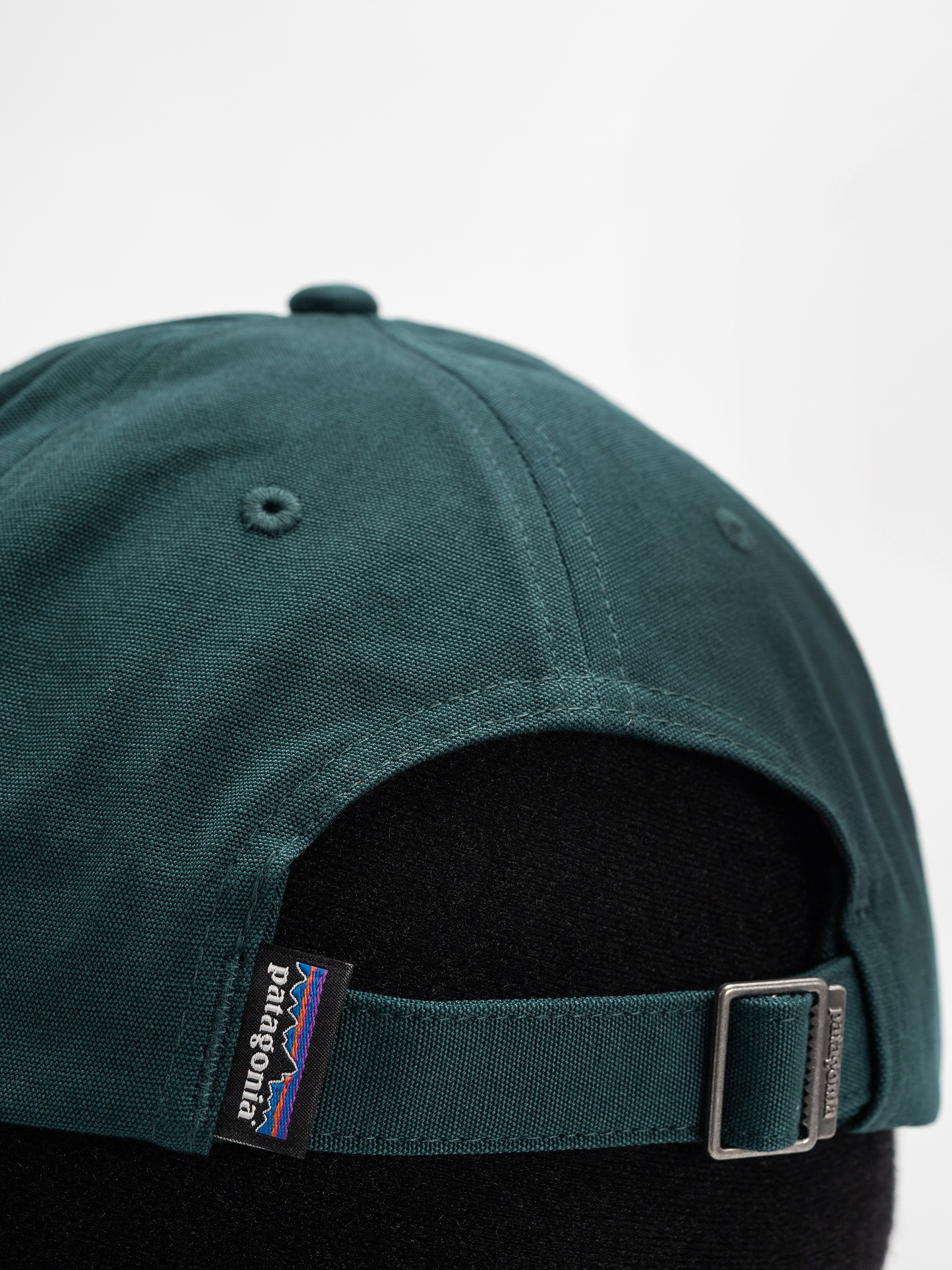 Patagonia P 6 Label Trad Cap (cascade green)
