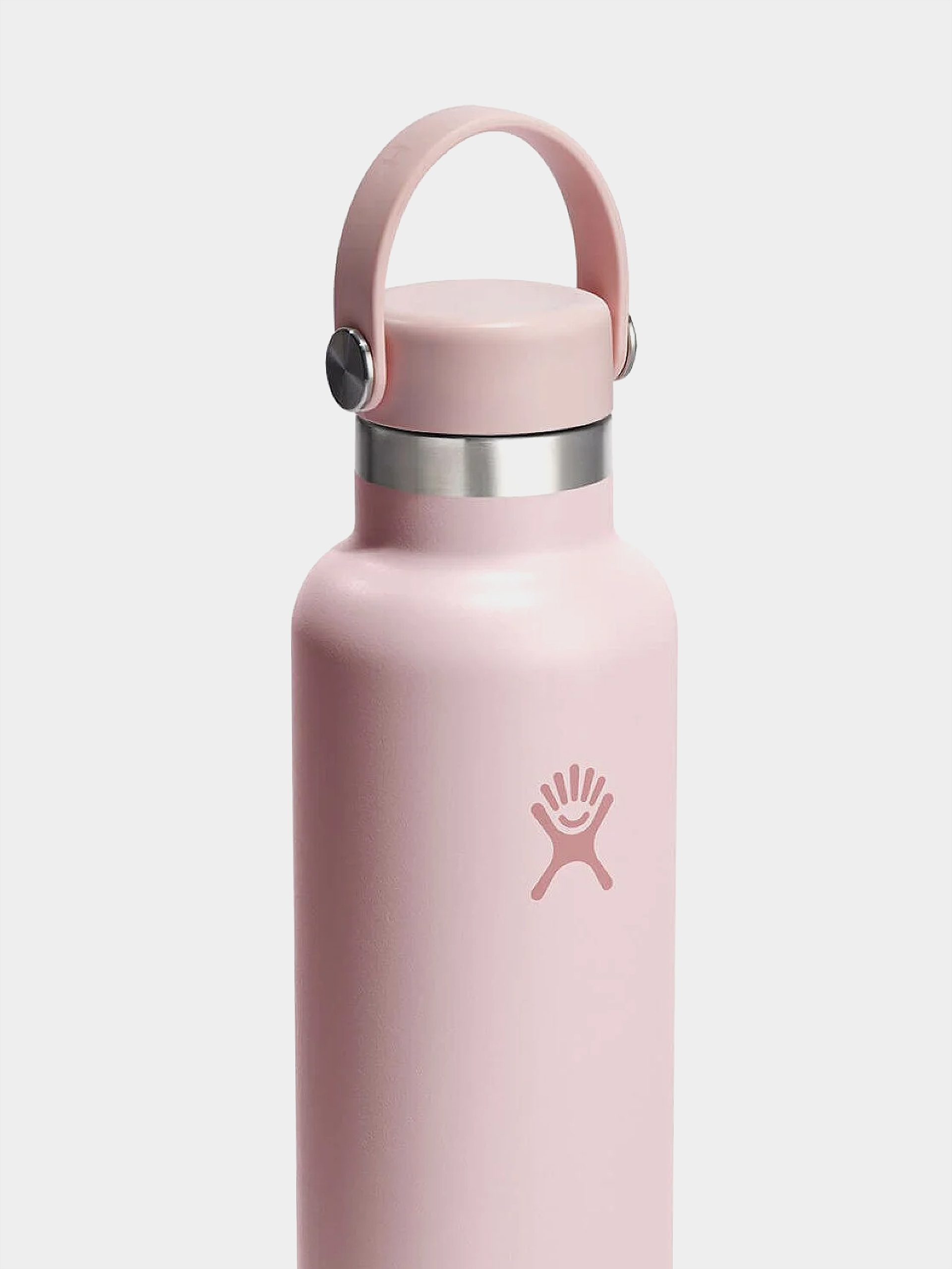 Hydro Flask Bottle Standard Mouth Flex Cap 621ml (trillium)